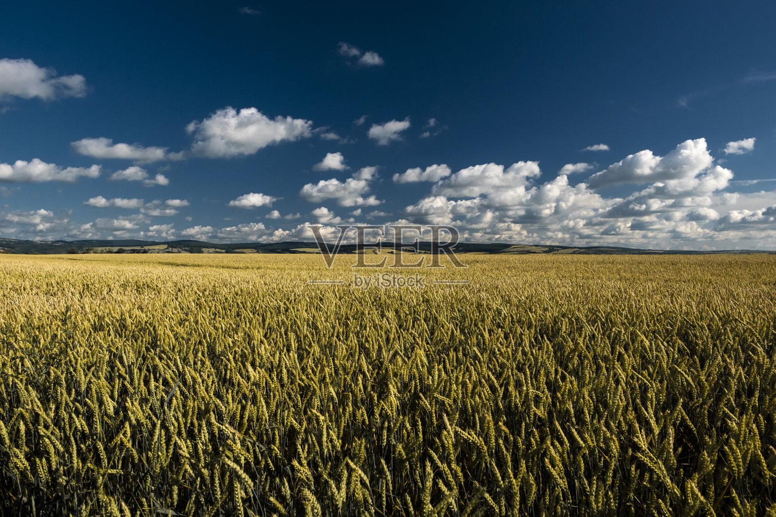 托斯卡纳景观和麦田照片摄影图片