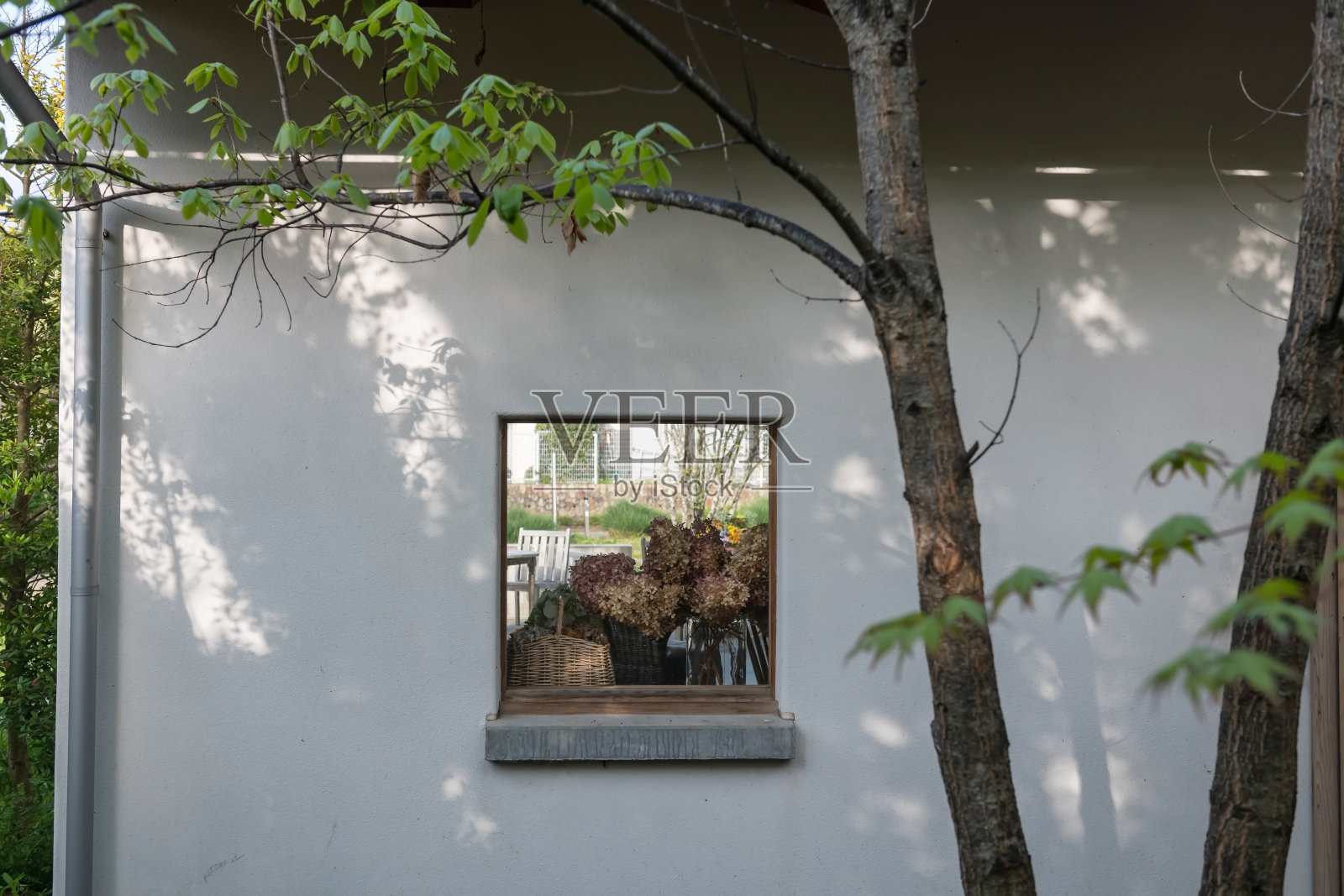 晾干的花在窗户上的篮子里，白色的墙壁上有树叶遮荫照片摄影图片