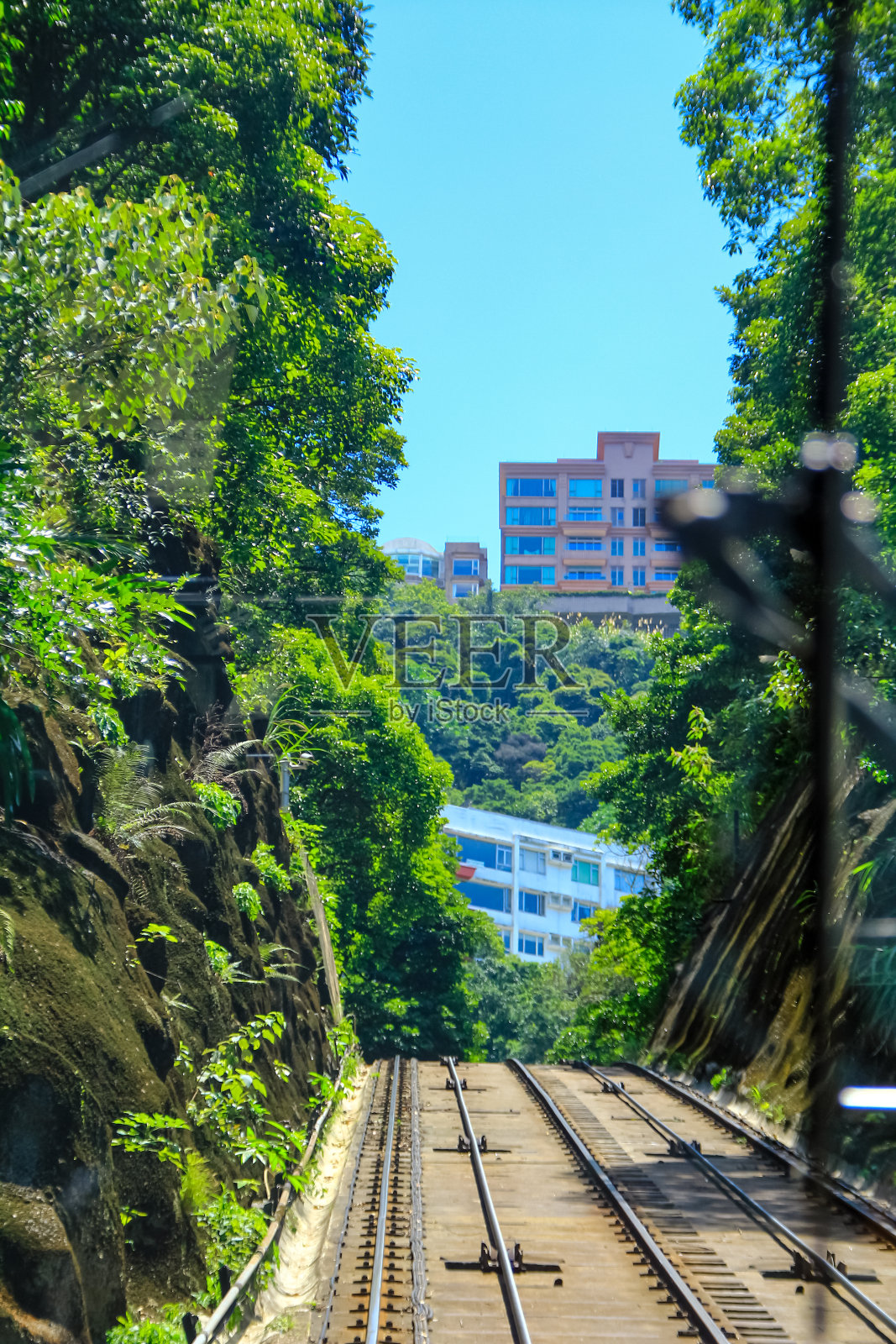 蓝天下绿树成荫的有轨电车路。照片摄影图片