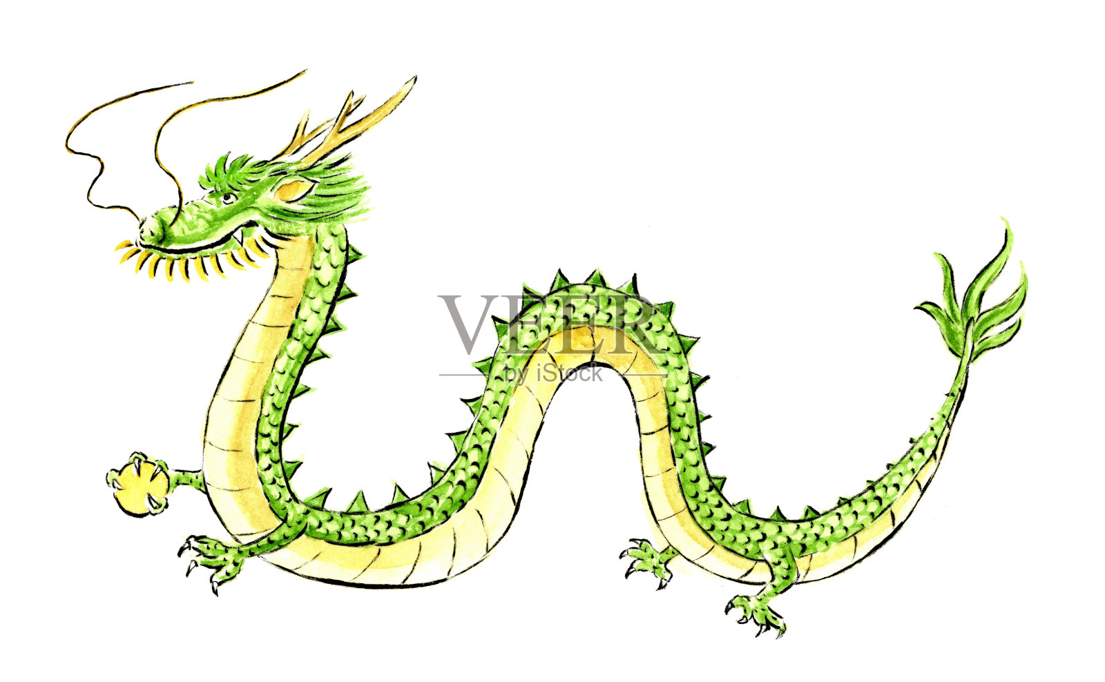 龙的全身水彩插图插画图片素材