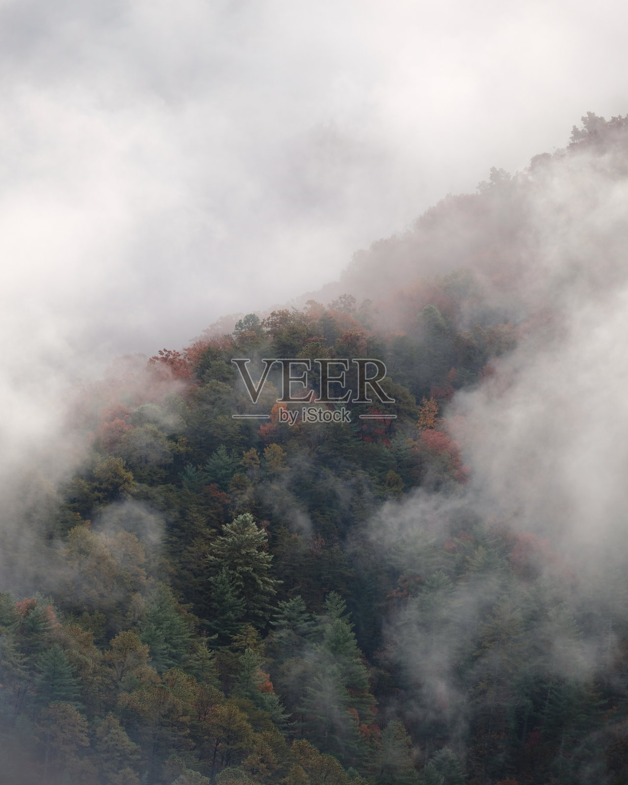 大烟山国家公园照片摄影图片