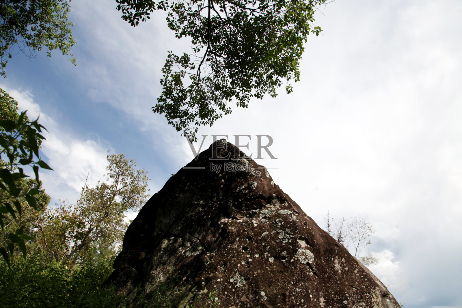 森林里的一块大石头照片摄影图片
