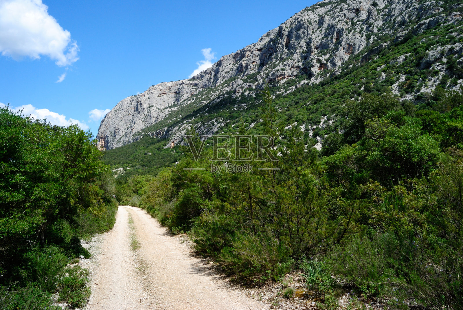 这是通往蒙特提斯卡利村的小路照片摄影图片