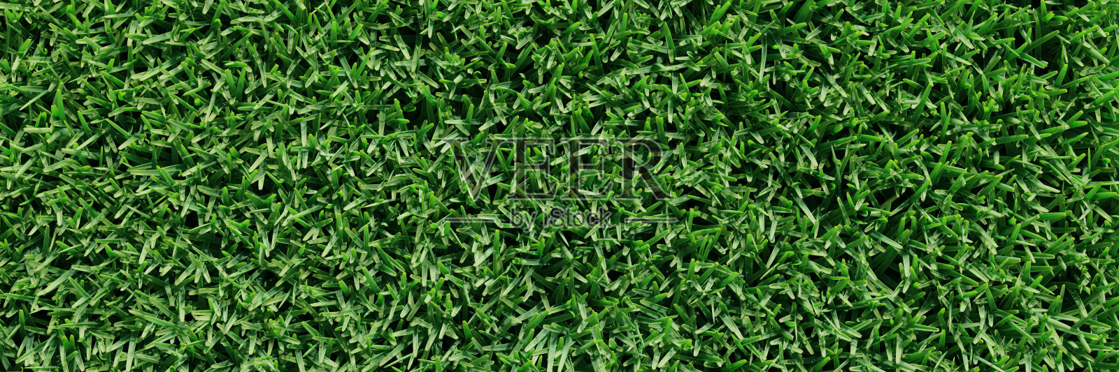 绿油油的草坪，草甸碧绿的草皮。俯视图3d渲染照片摄影图片