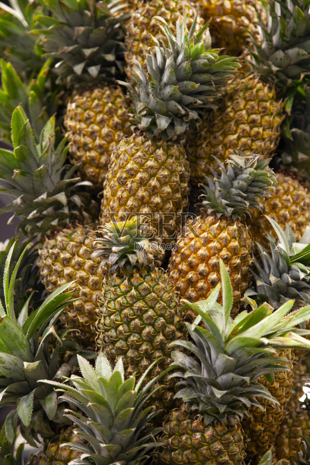 菠萝壁纸照片摄影图片