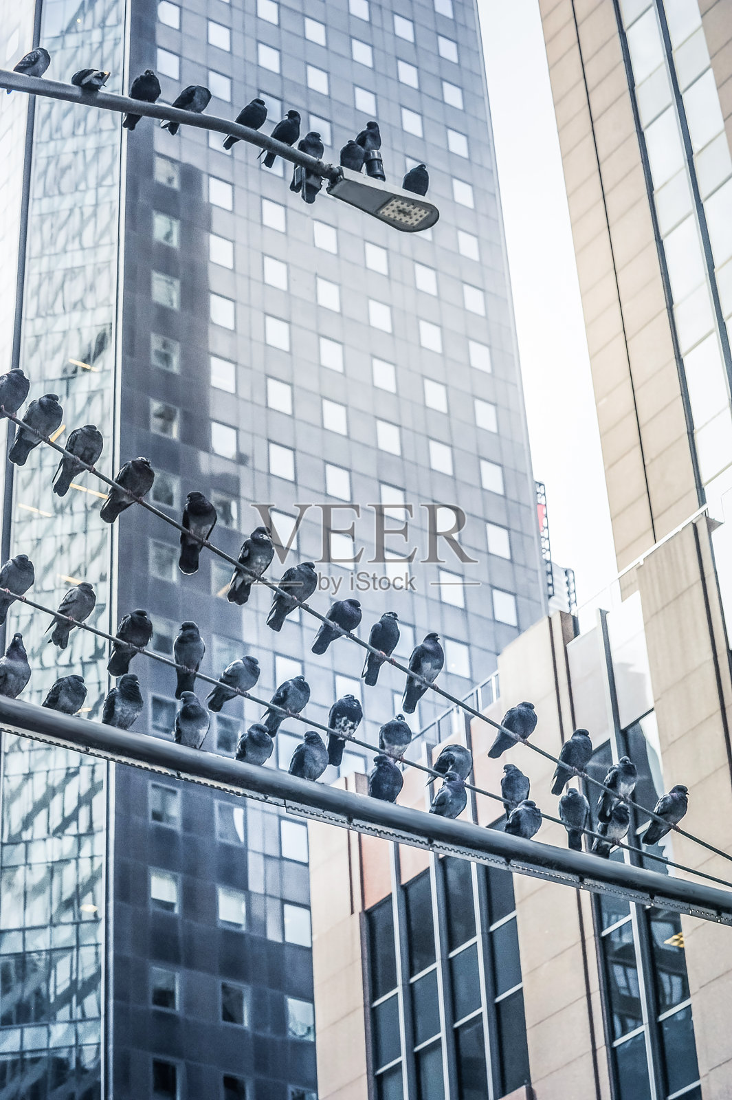 曼哈顿照片摄影图片