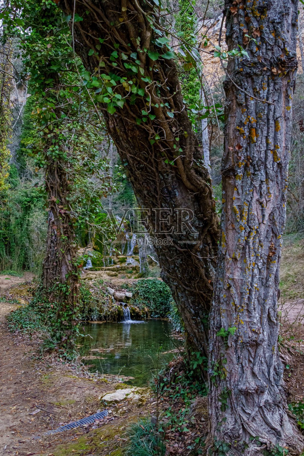 富恩特多巴的多巴。的索里亚。西班牙照片摄影图片