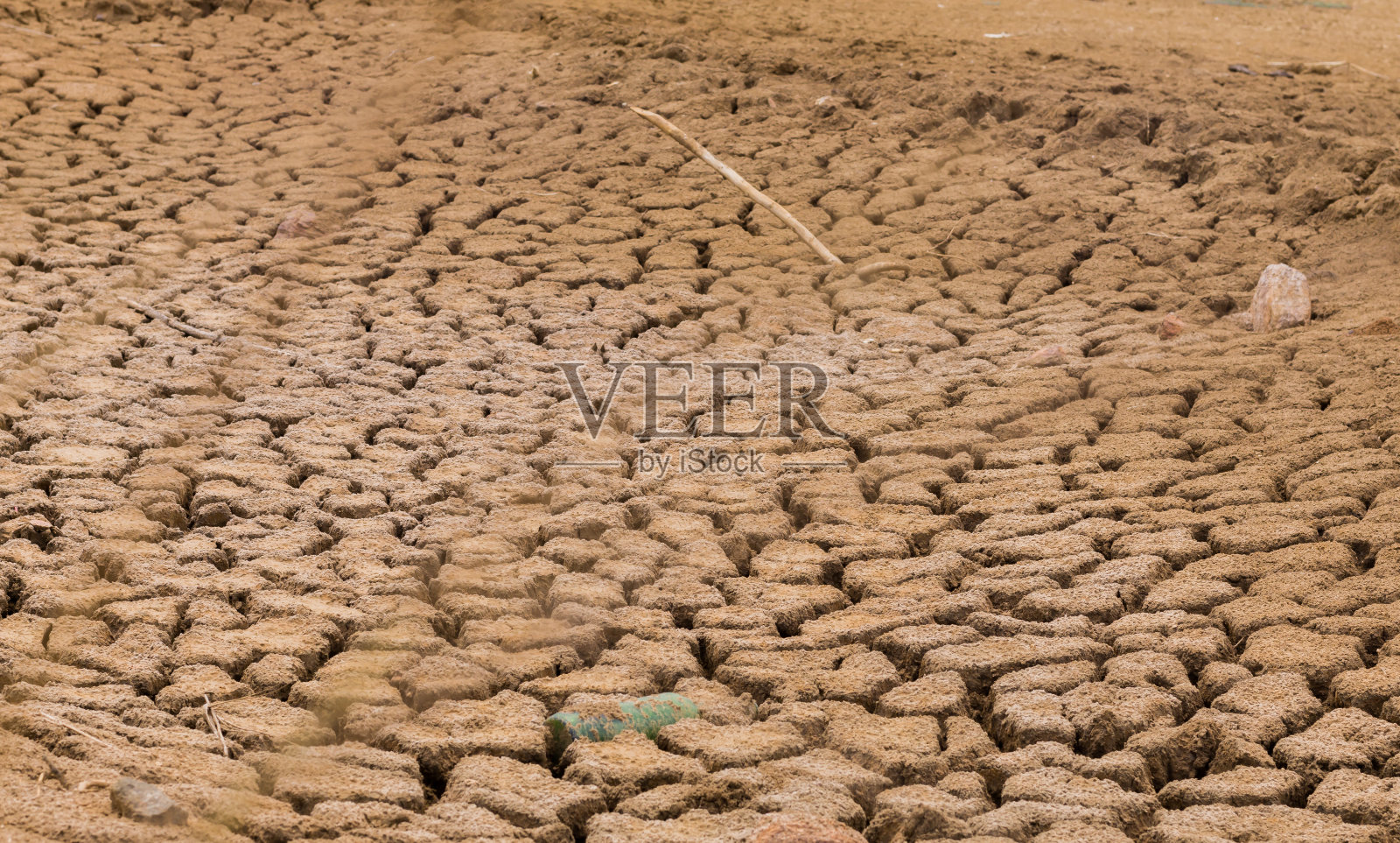 因干旱或旱季而出现裂缝的旱地。照片摄影图片