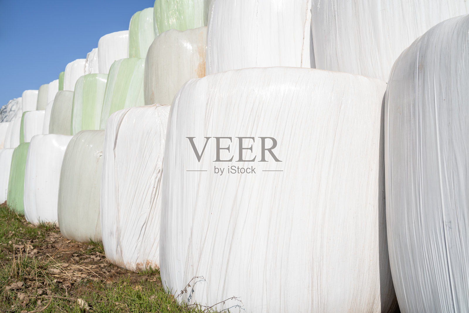 许多人把干草捆在蓝天的草地上照片摄影图片