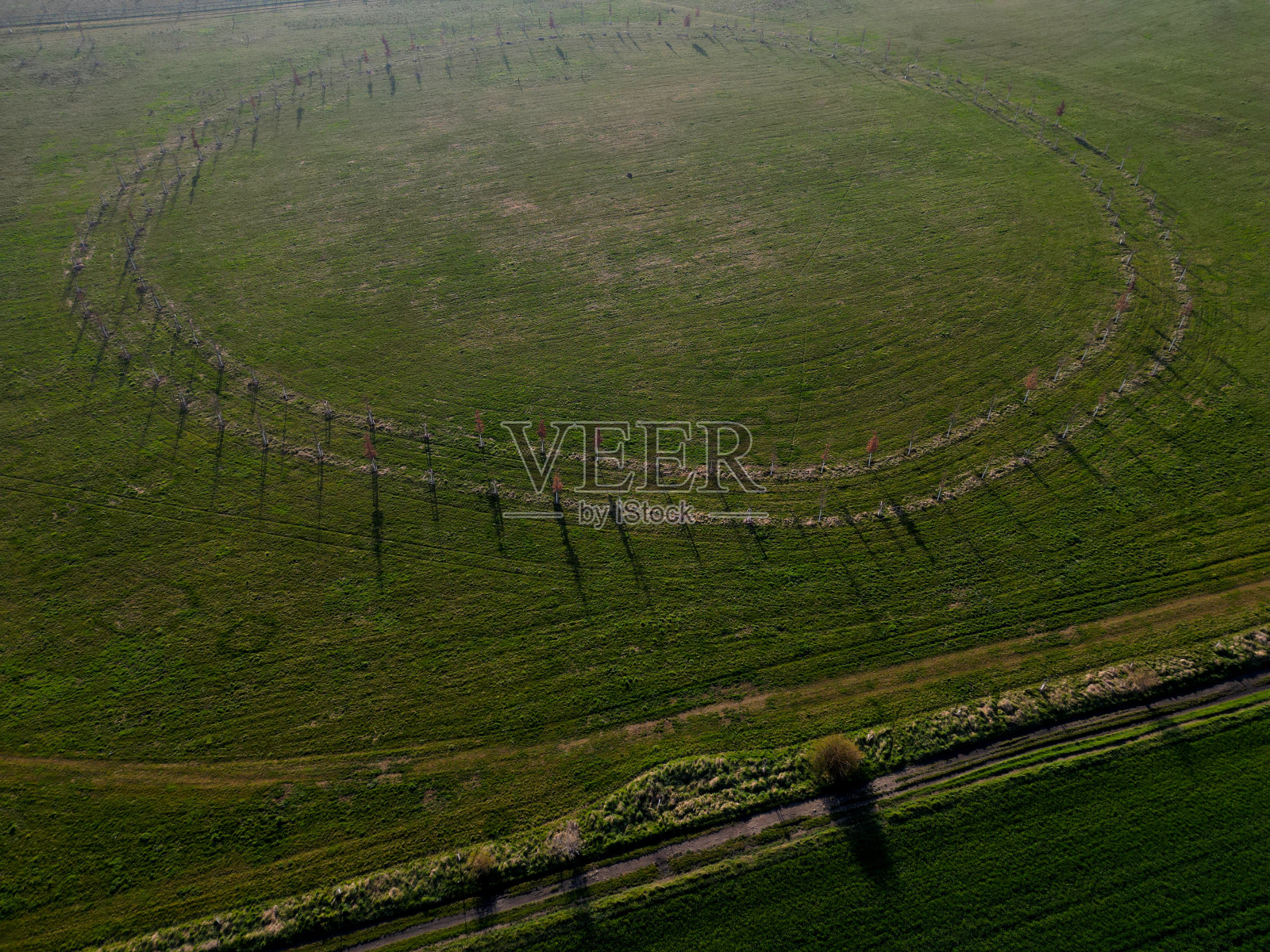 飞越新建成的公园，这里有生物走廊和马场。沿着道路种植的树木，形成一个巨大的圆圈，一架质量控制飞机飞过。构图只能欣赏照片摄影图片