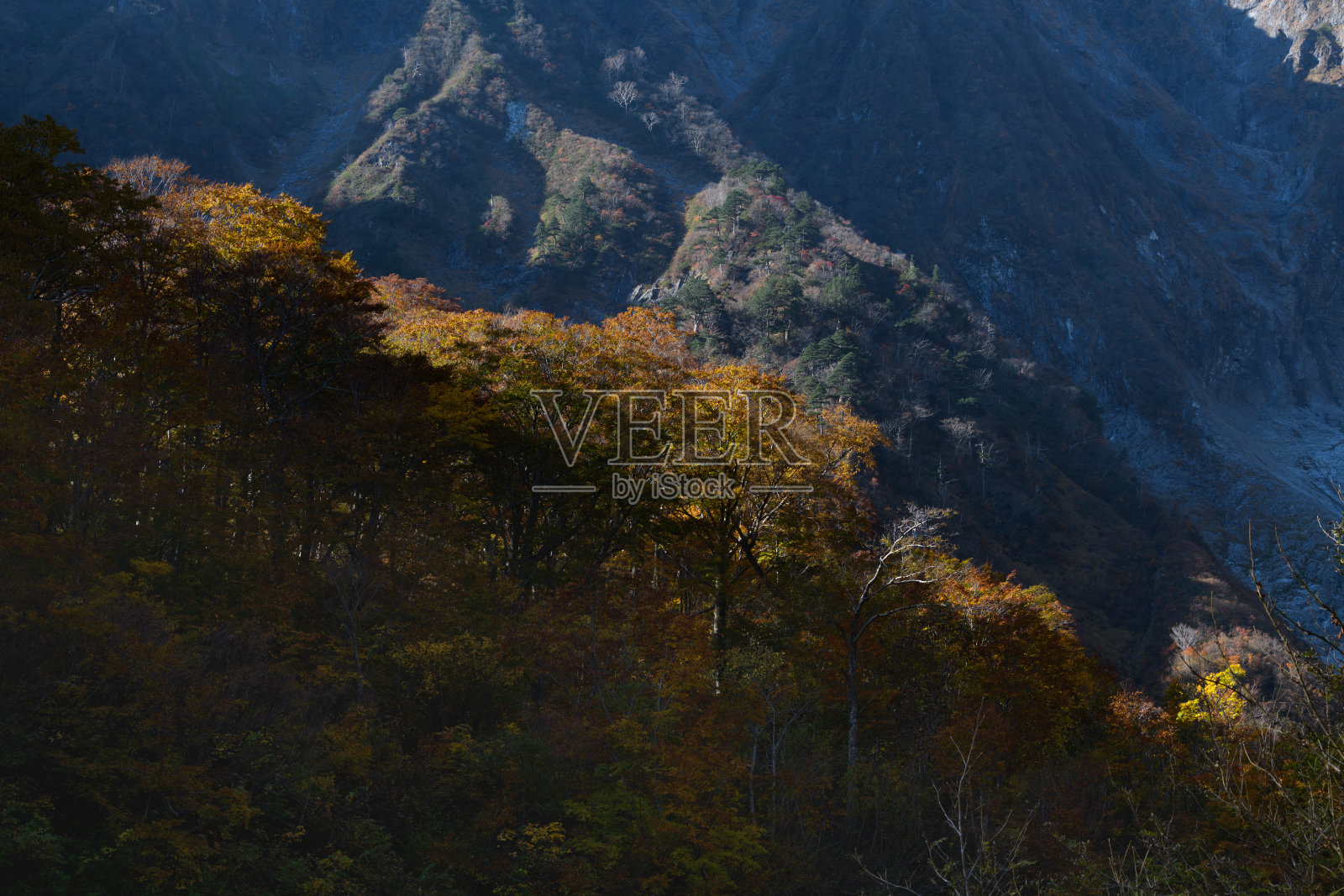 秋天的谷川山照片摄影图片