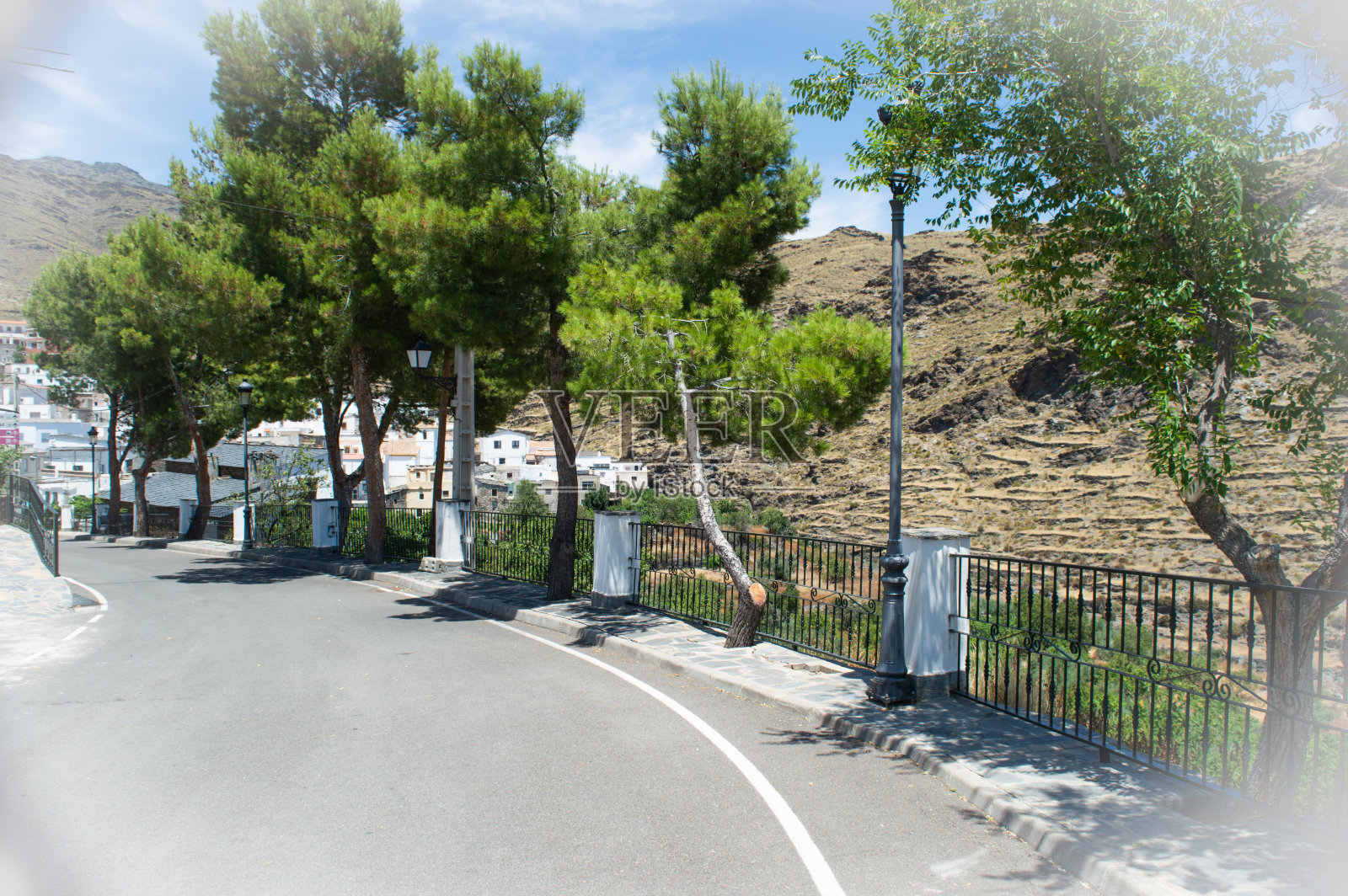 有树的道路照片摄影图片