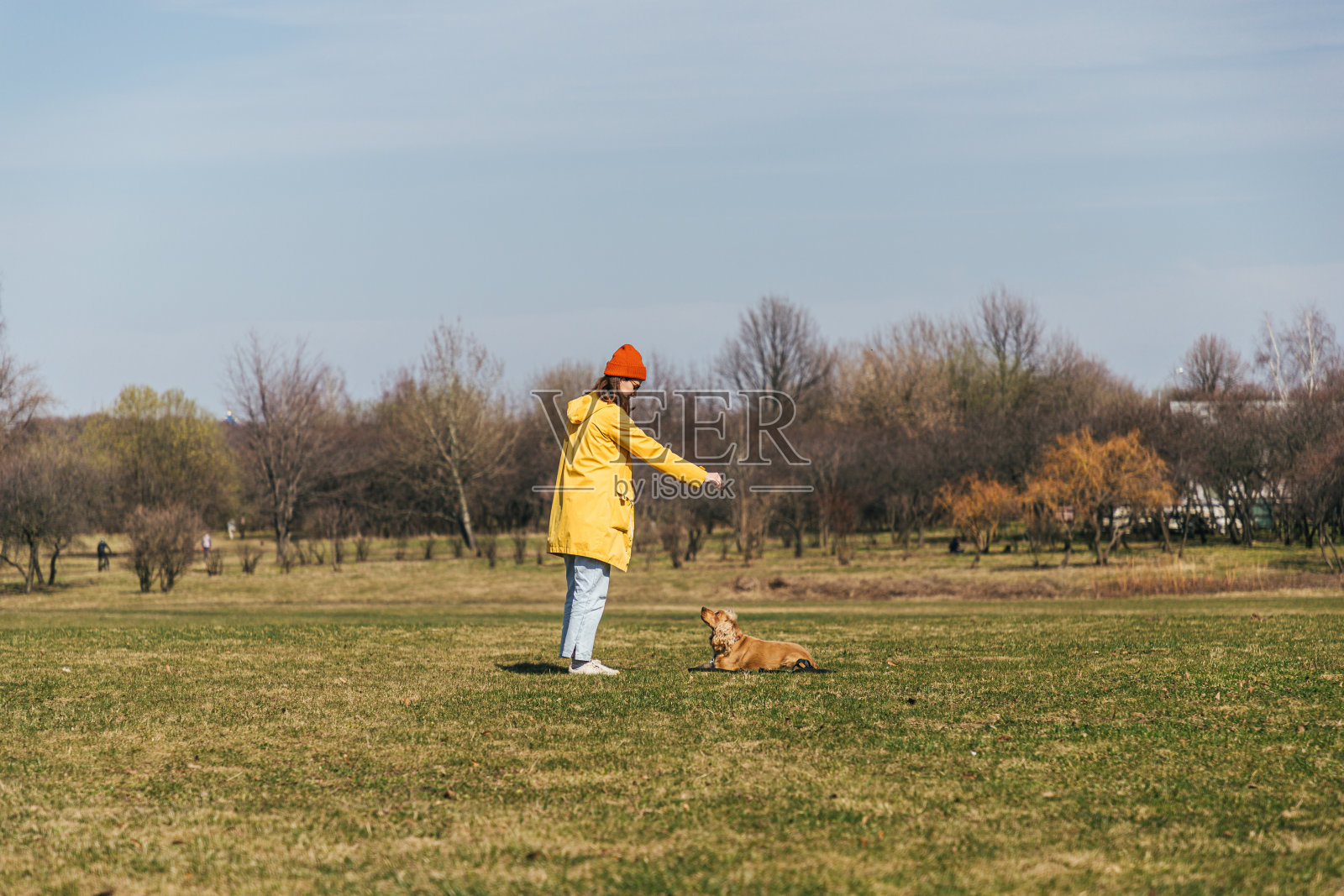 一个女孩穿着黄色的雨衣，戴着红色的帽子和眼镜，在阳光明媚的天气里和一只西班牙猎犬在公园的草地上散步，一边训练一边说命令照片摄影图片