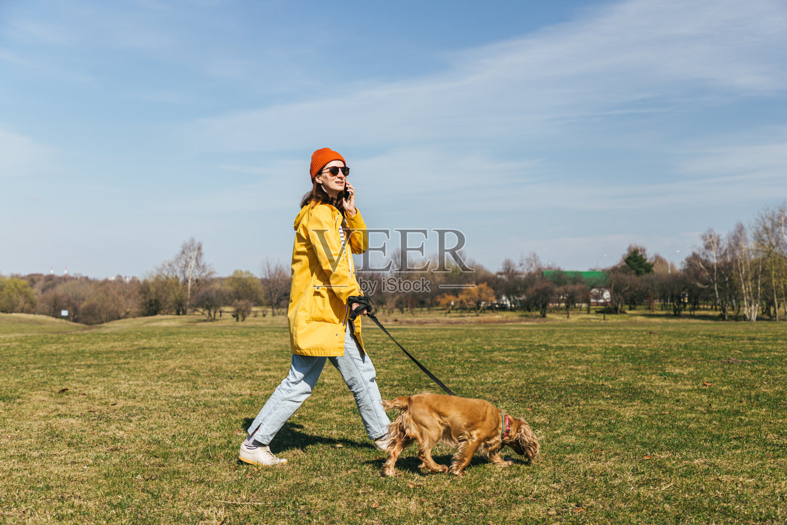 一个穿着黄色夹克，戴着红色帽子，戴着眼镜的女孩和一只西班牙猎犬在公园里散步，一边打电话照片摄影图片