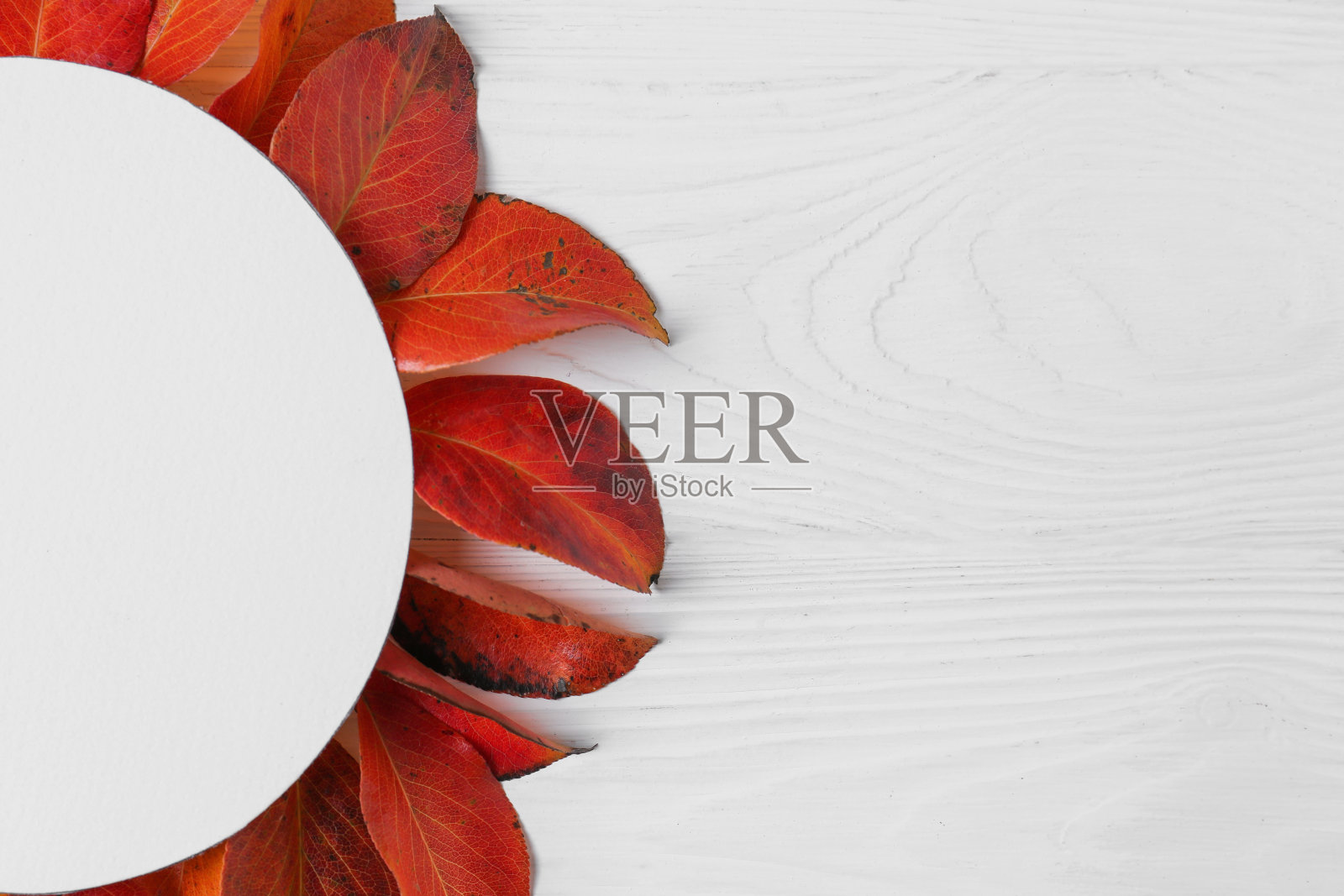 白木桌上平铺着空白卡片和秋叶的构图。文本空间照片摄影图片