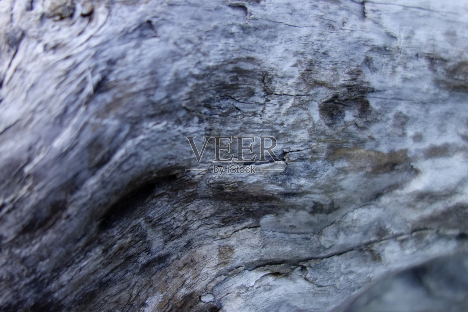 老木纹图案照片摄影图片