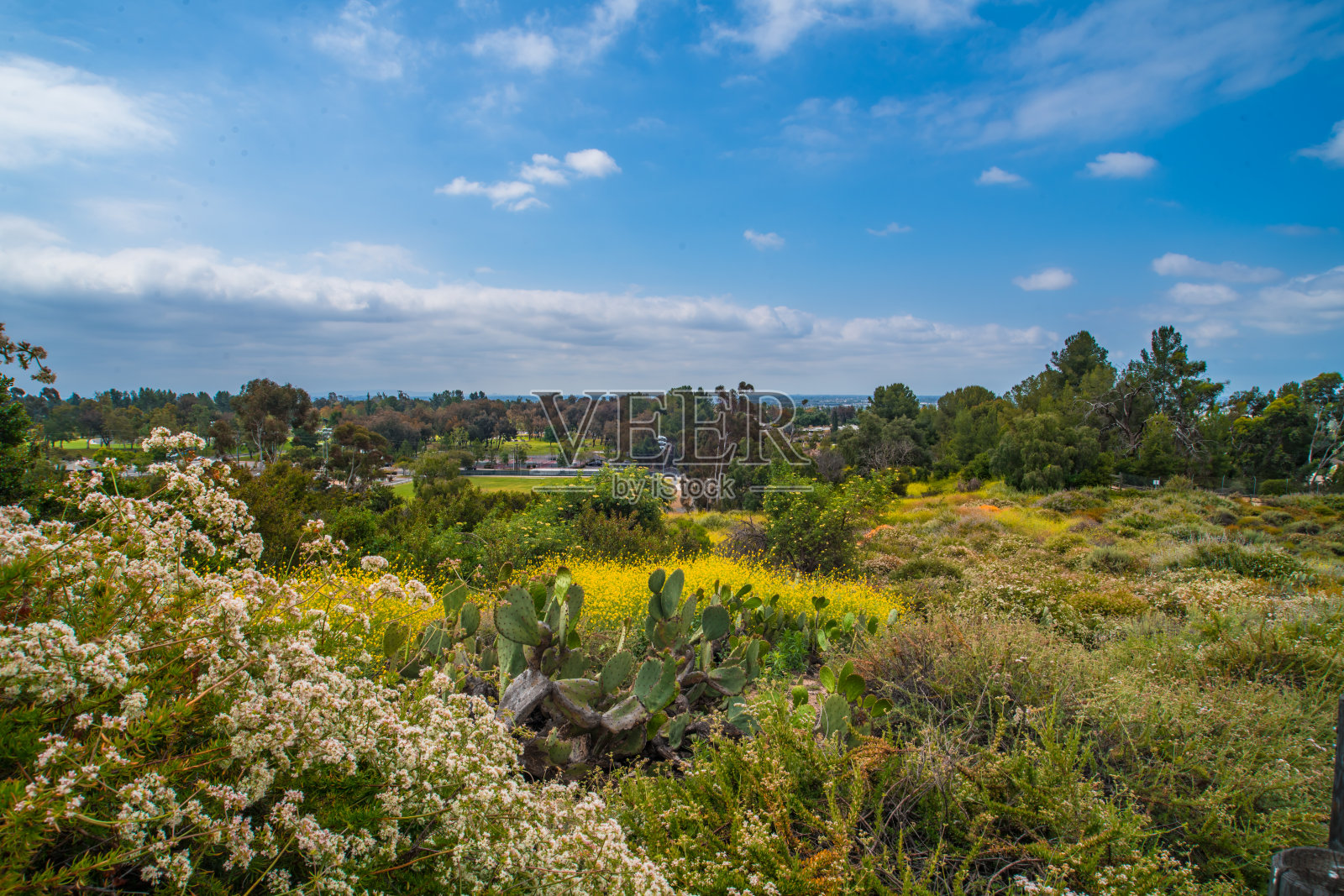 平的。照片摄影图片