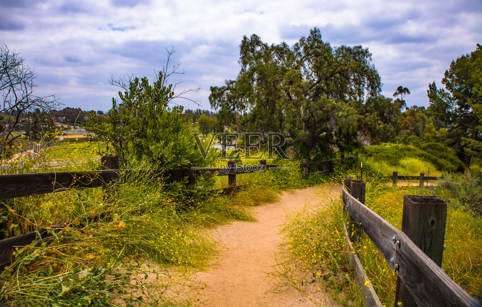 通往春天的路。照片摄影图片
