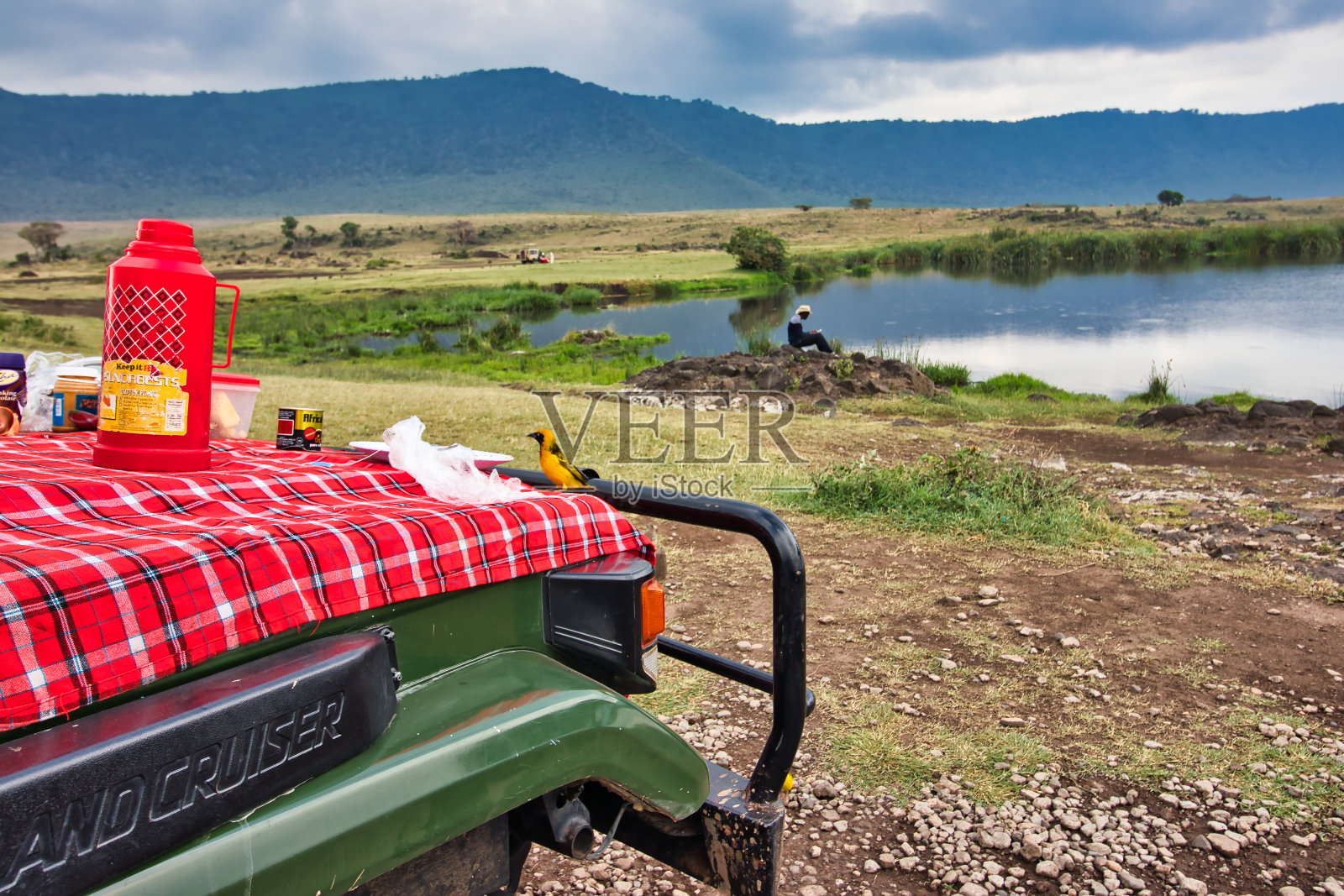 织布鸟在坦桑尼亚恩戈罗恩戈罗火山口内的希普湖中野餐照片摄影图片