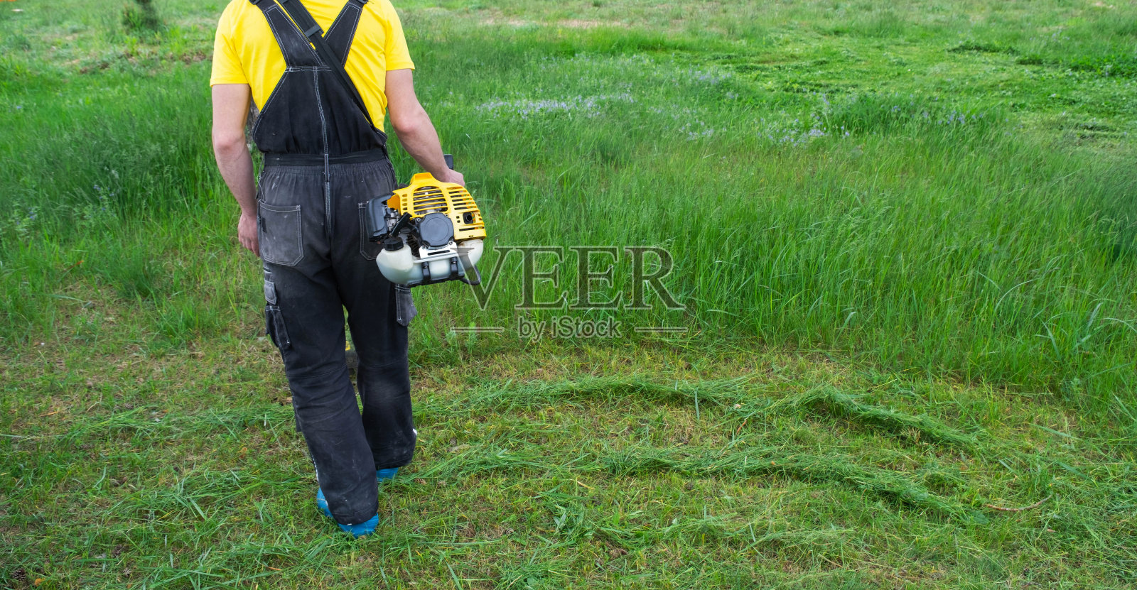 一位男园丁正在用汽油割草机修剪后院草坪上的绿草。修剪花园的修剪器照片摄影图片