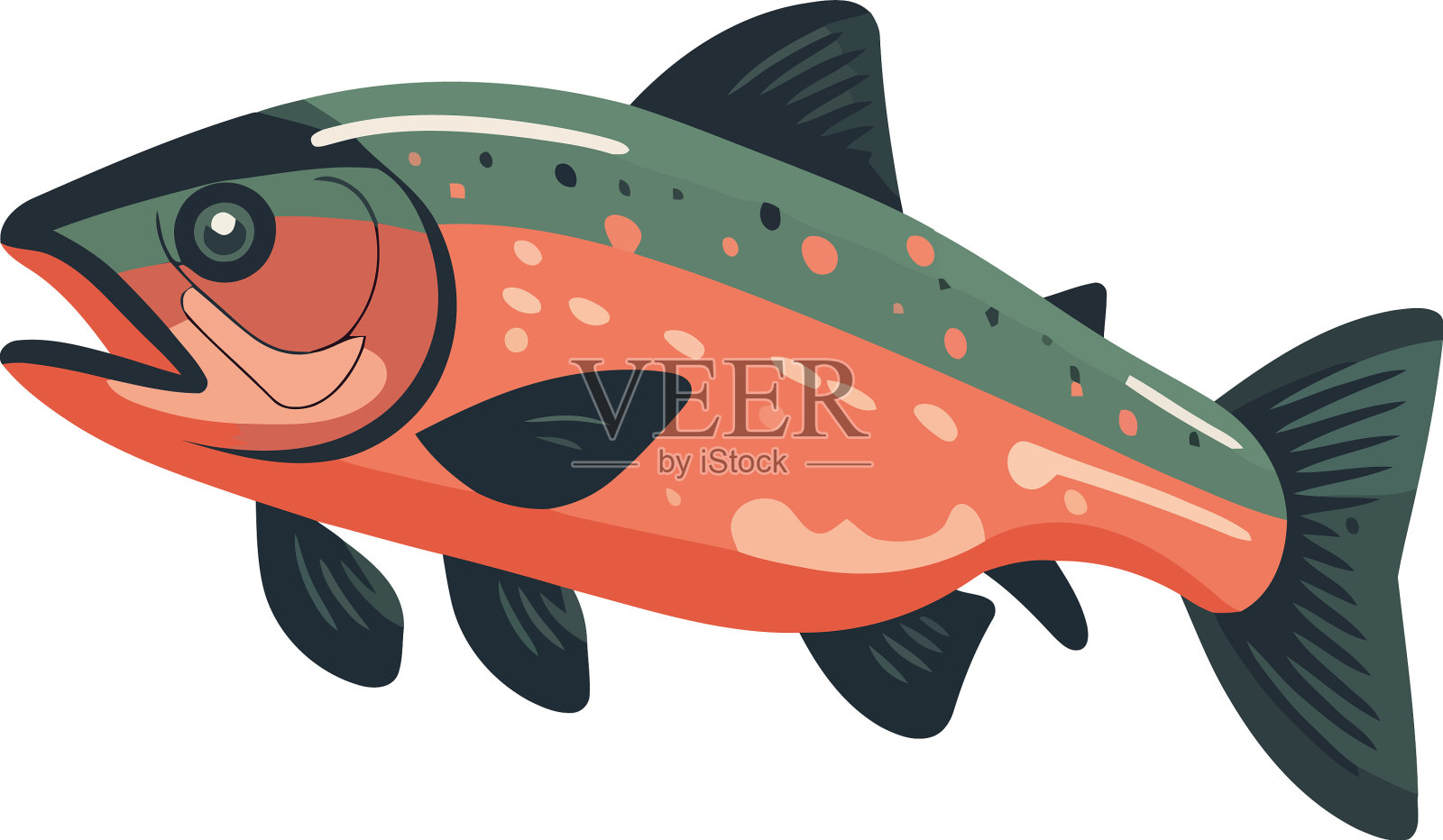 水下鱼类设计插画图片素材