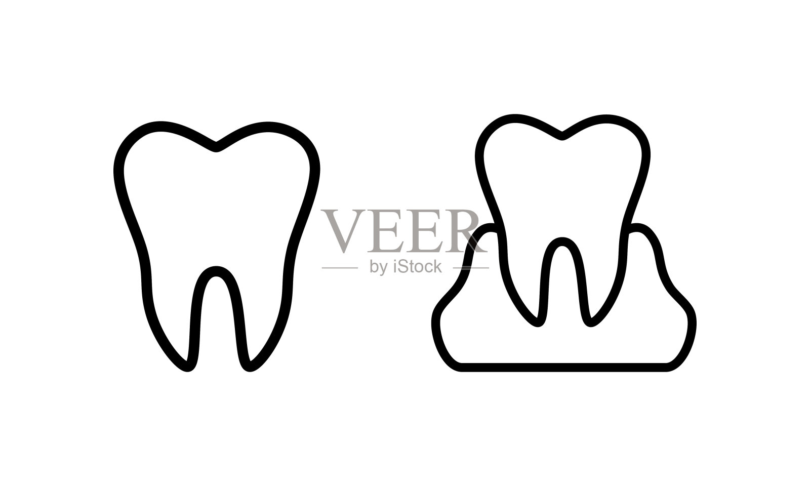 在牙龈中设置健康牙齿向量。隔离在白色背景-医学插图。插画图片素材