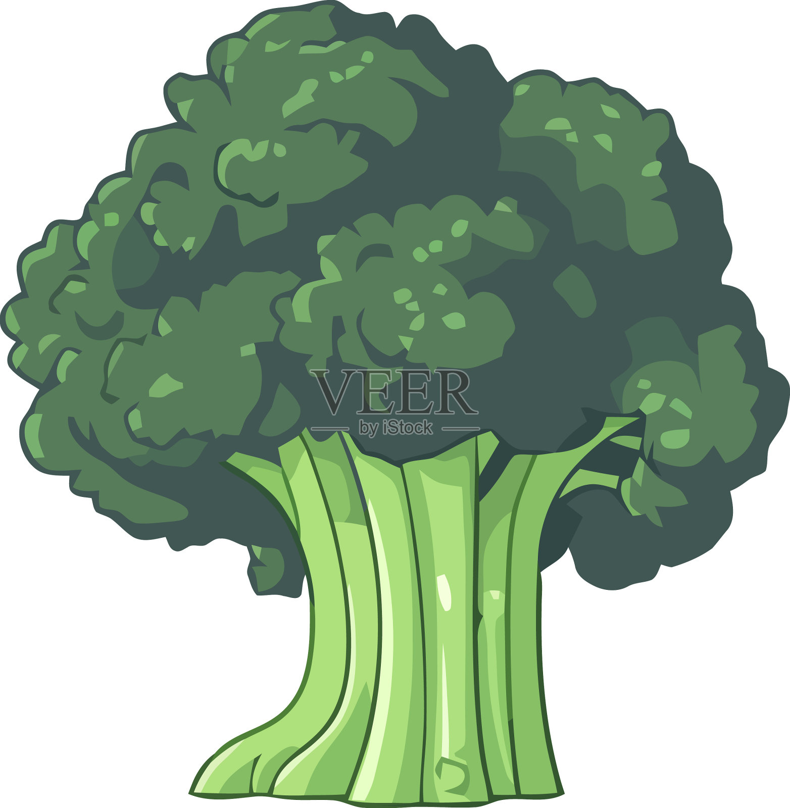 新鲜的西兰花是一种健康的烹饪蔬菜设计元素图片