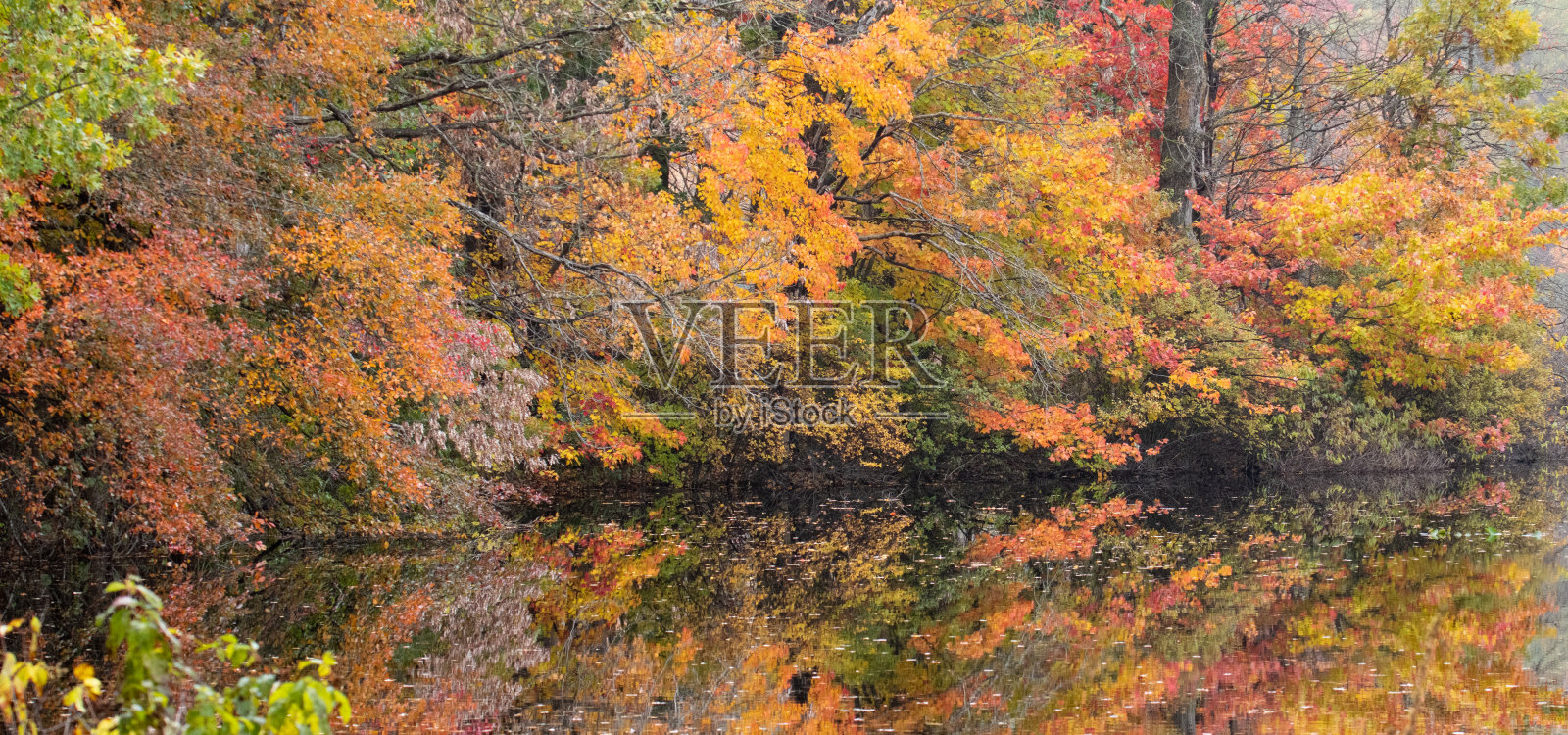 令人惊叹的秋天的颜色反射在水中。照片摄影图片