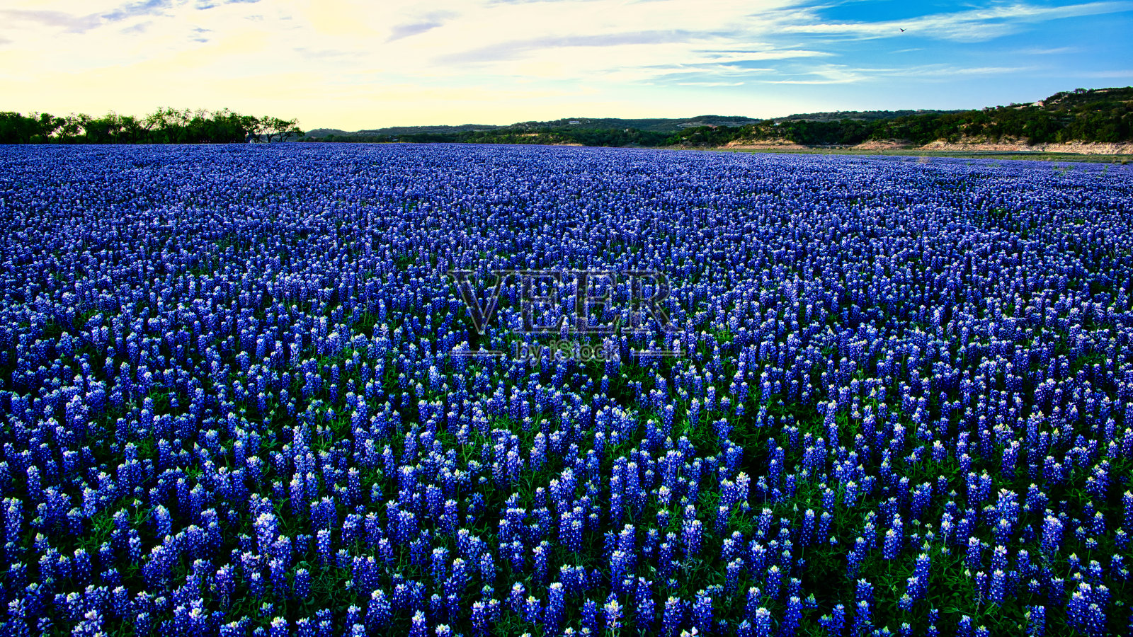 蓝色的天堂照片摄影图片