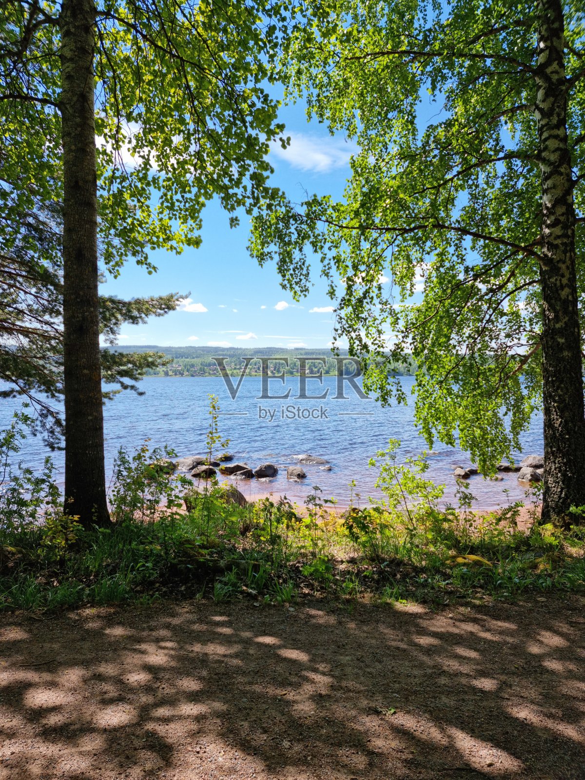 惊人的自然照片摄影图片