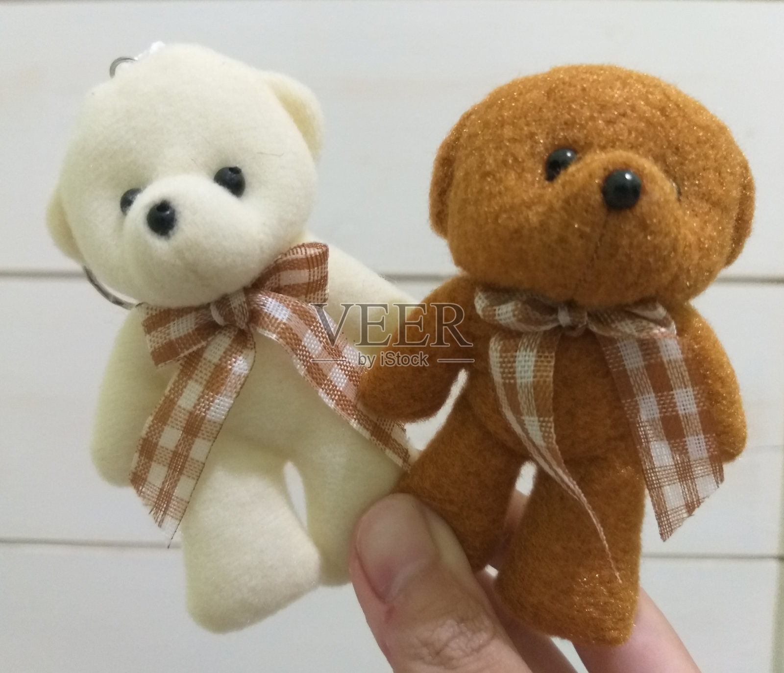 可爱的熊照片摄影图片