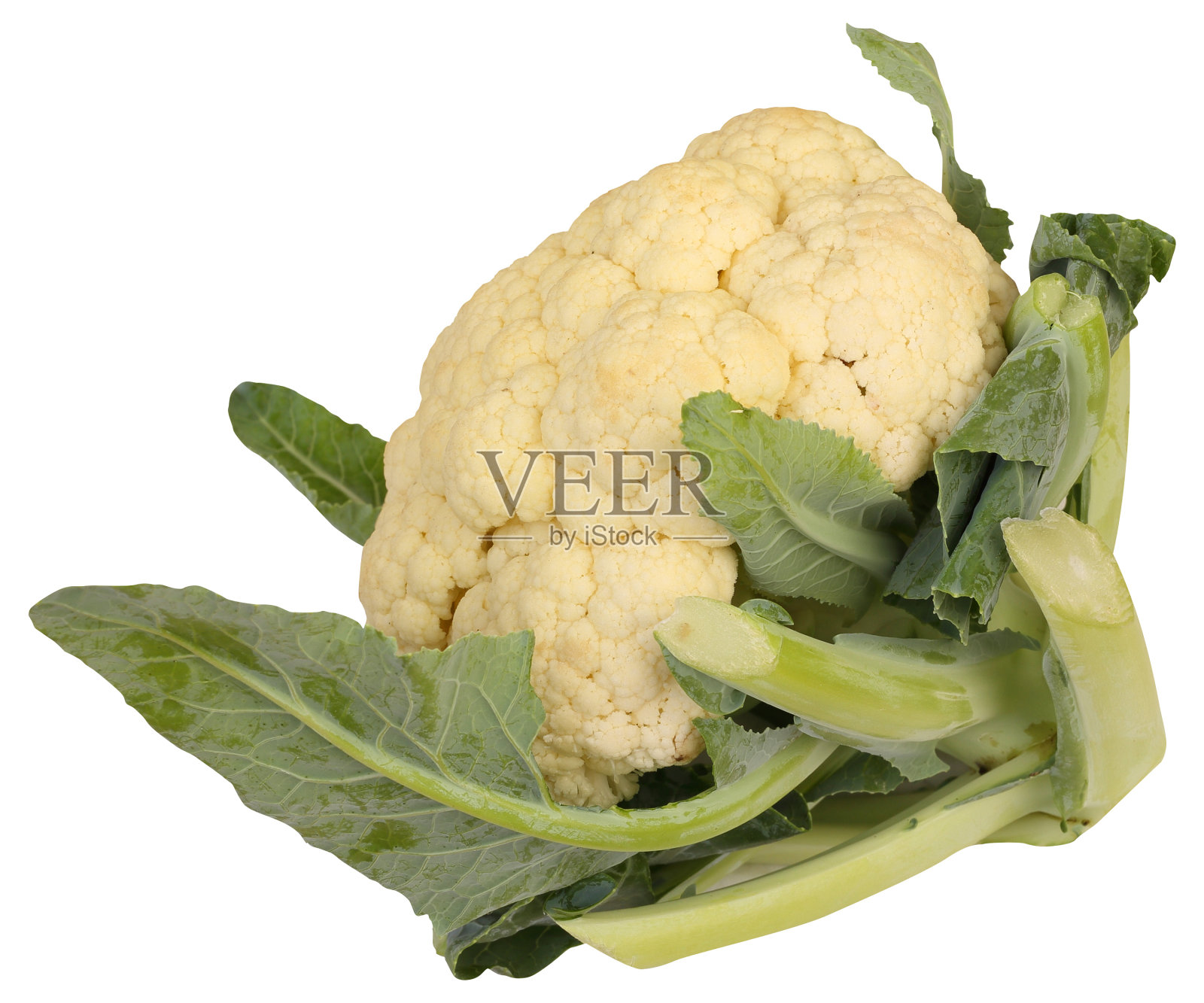 菜花照片摄影图片