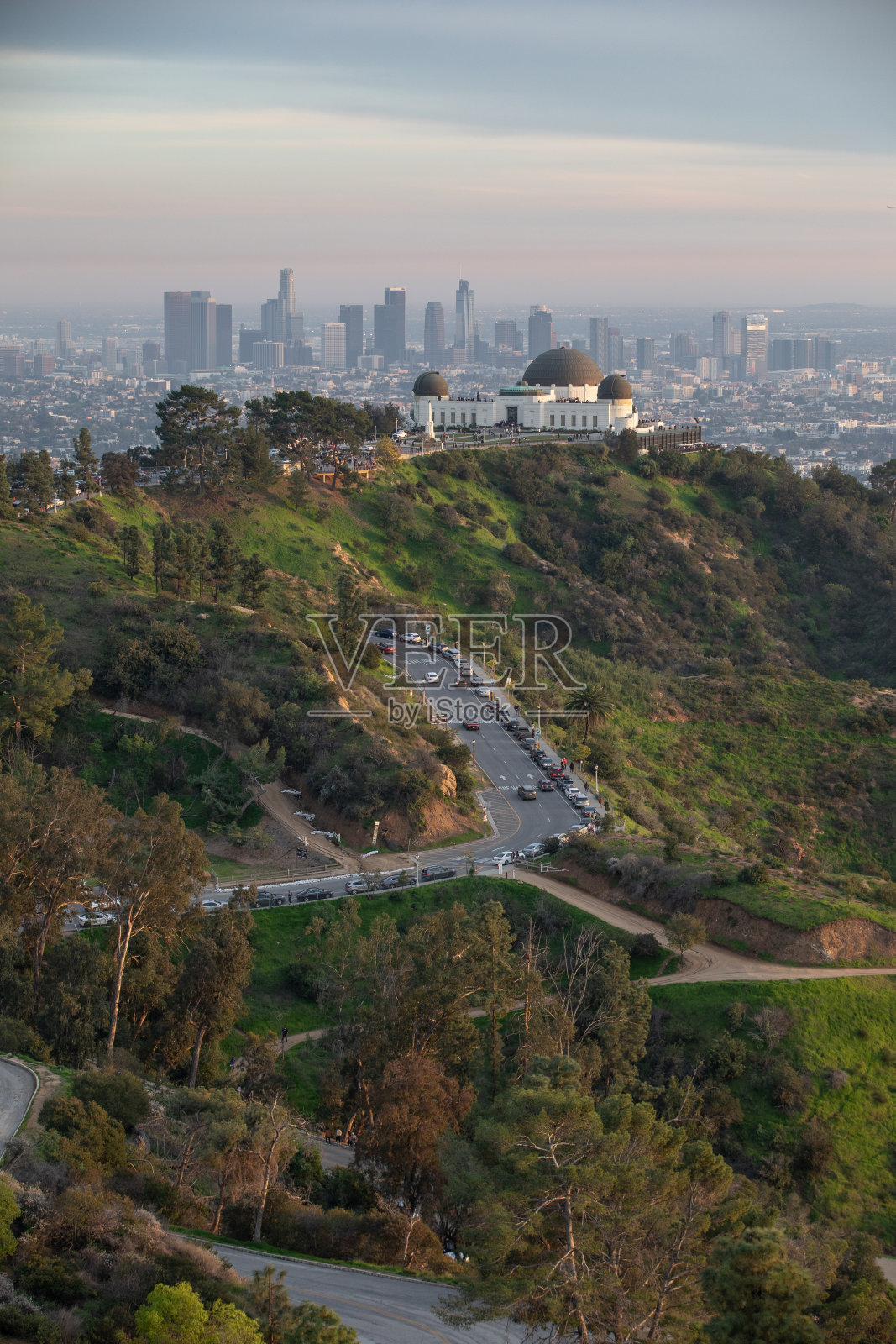 好莱坞格里菲斯公园照片摄影图片