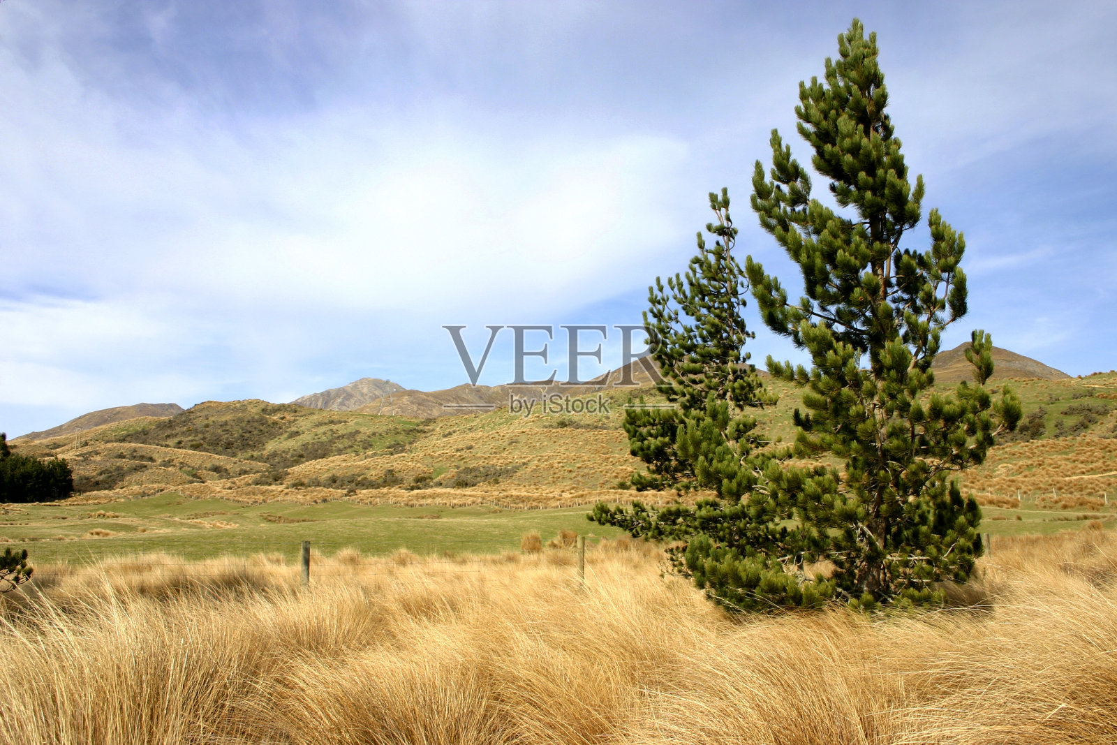 弗勒留半岛乡村景观照片摄影图片