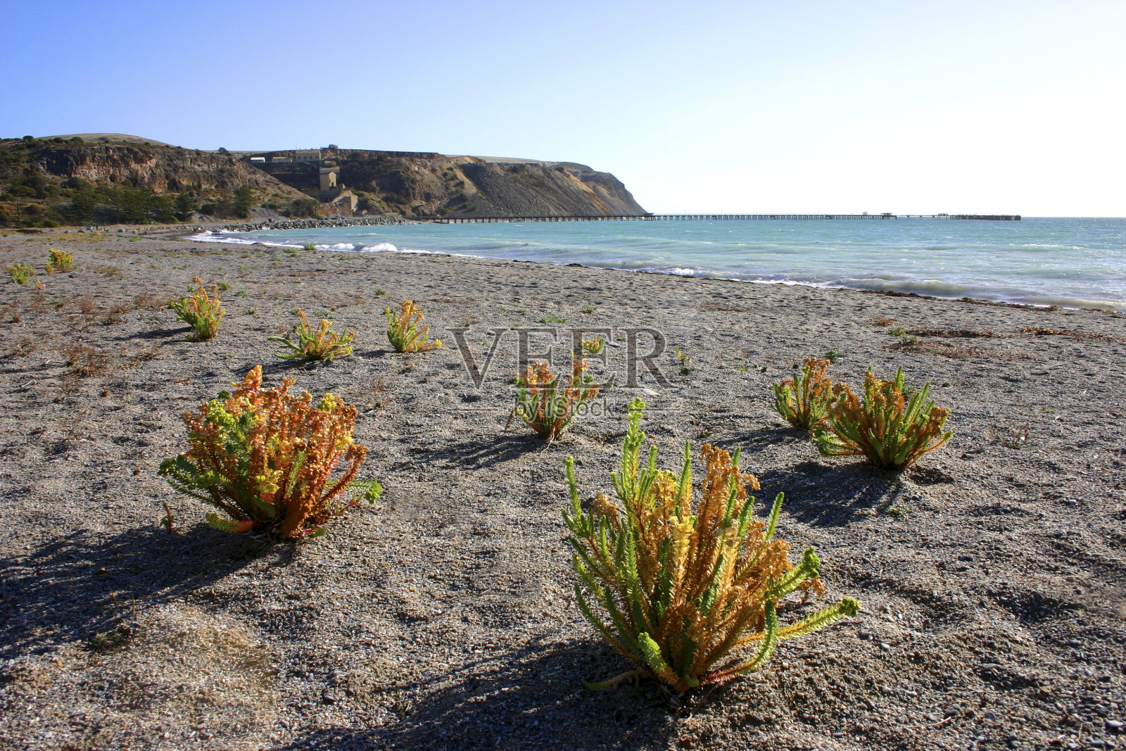 快速湾景观照片摄影图片