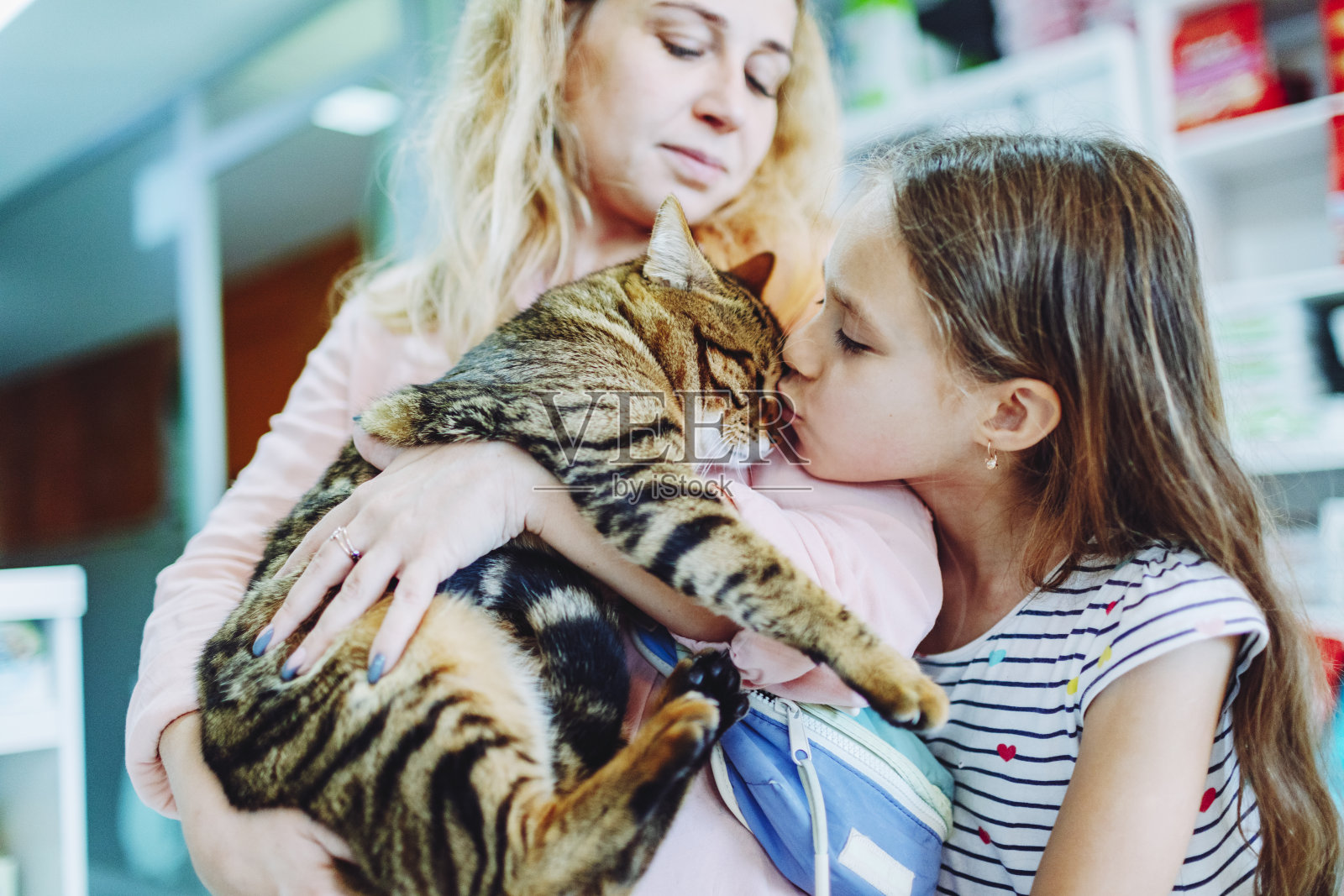 兽医诊所的母女和猫照片摄影图片