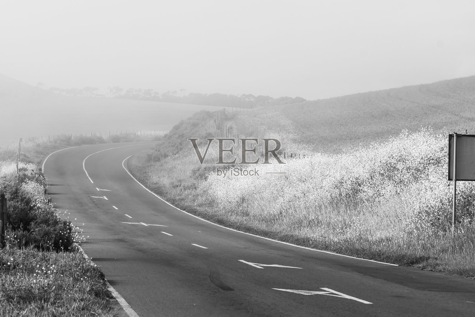 Malanshoogte路上有雾。单色照片摄影图片