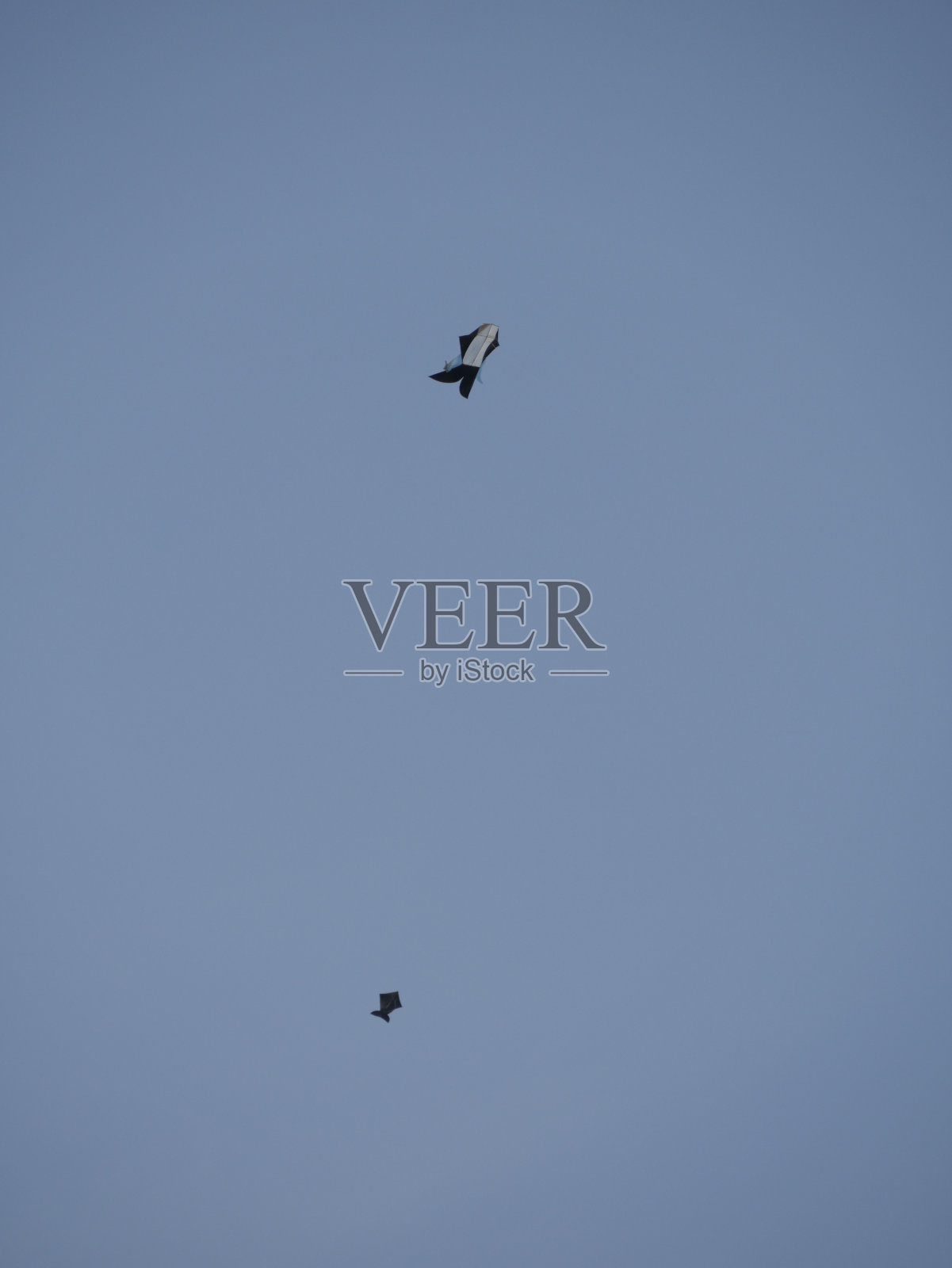 风筝照片摄影图片