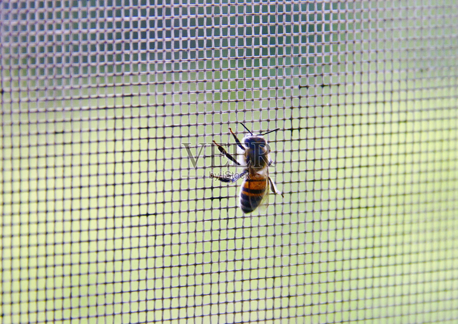 努力工作照片摄影图片