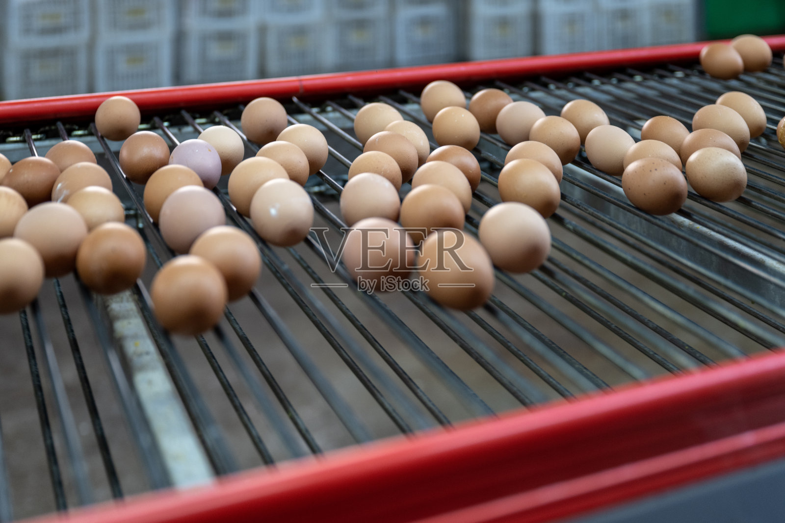 鸡蛋自动分选线特写照片摄影图片