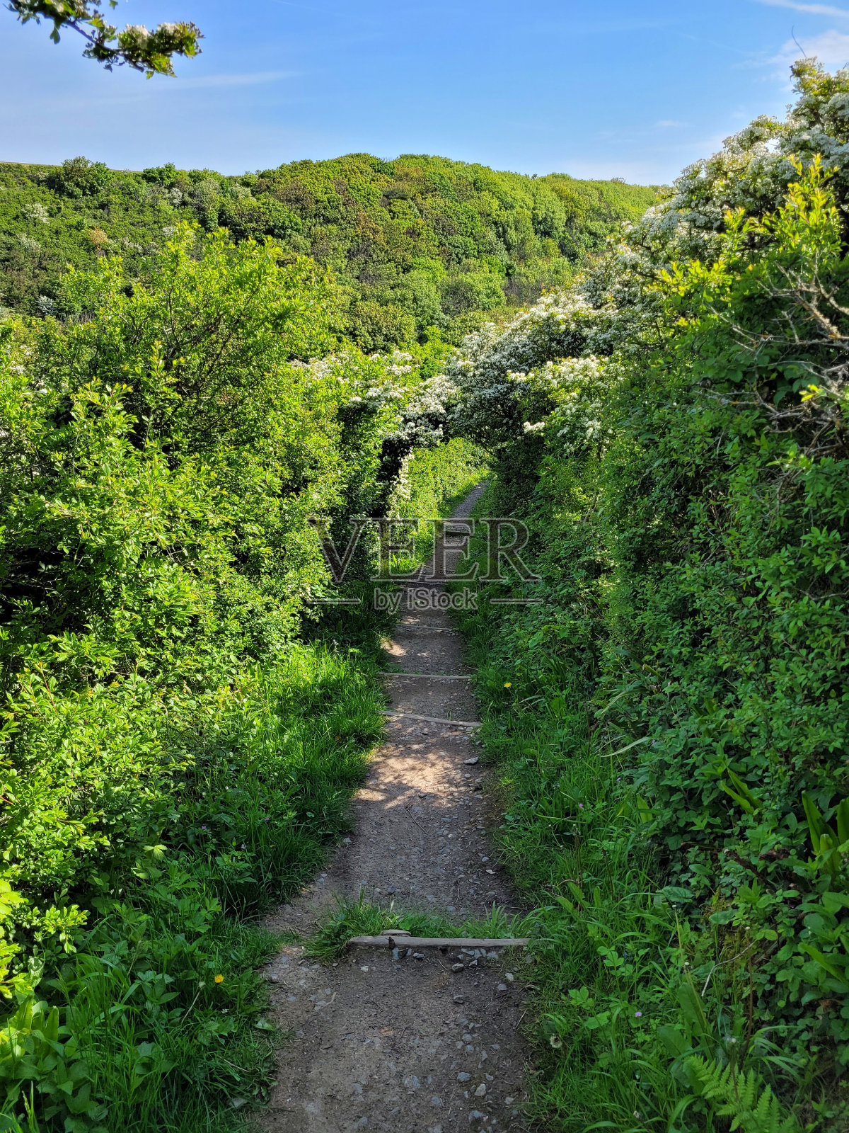 威尔士海岸小路，格拉摩根谷，威尔士照片摄影图片