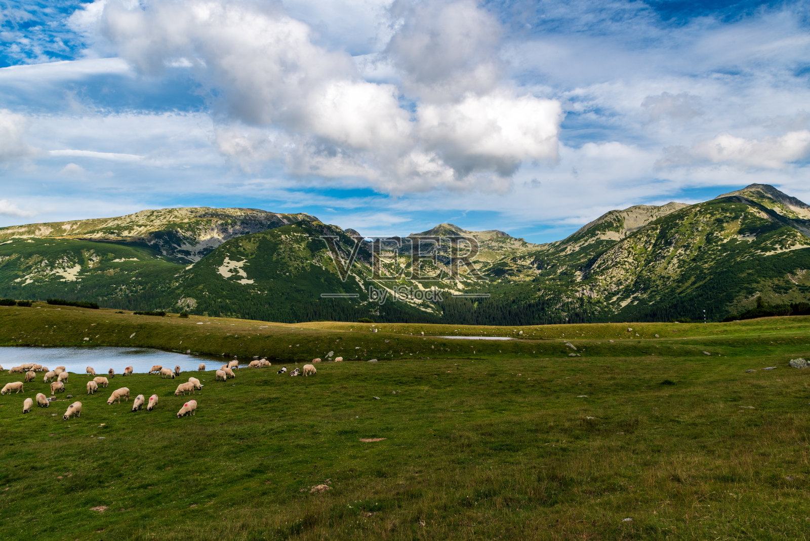 Saua Plauil Mic山口，背景是罗马尼亚Retezat山脉的山峰照片摄影图片
