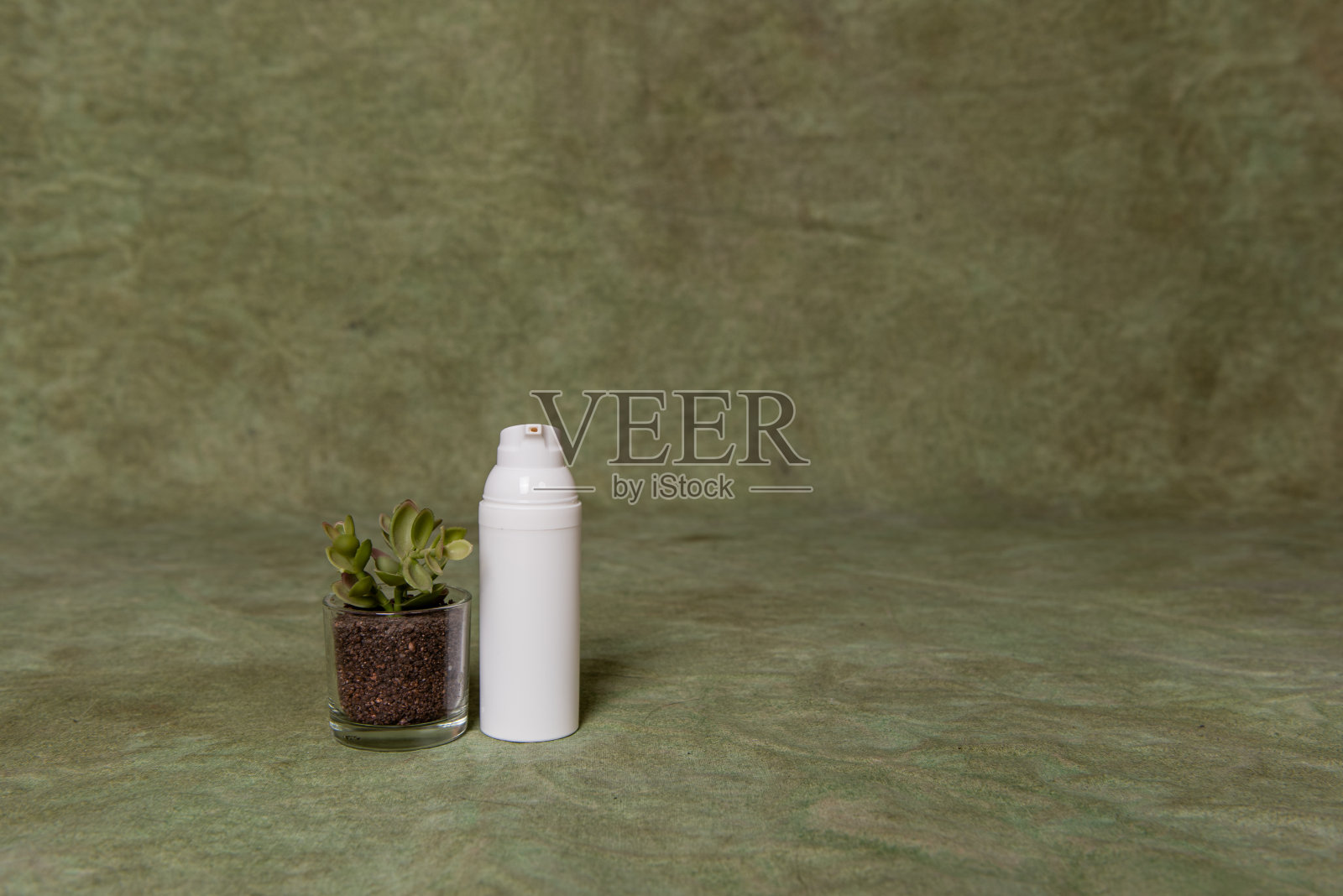 美丽和化妆品的模型，一个白色的塑料瓶在绿色的背景与多肉照片摄影图片