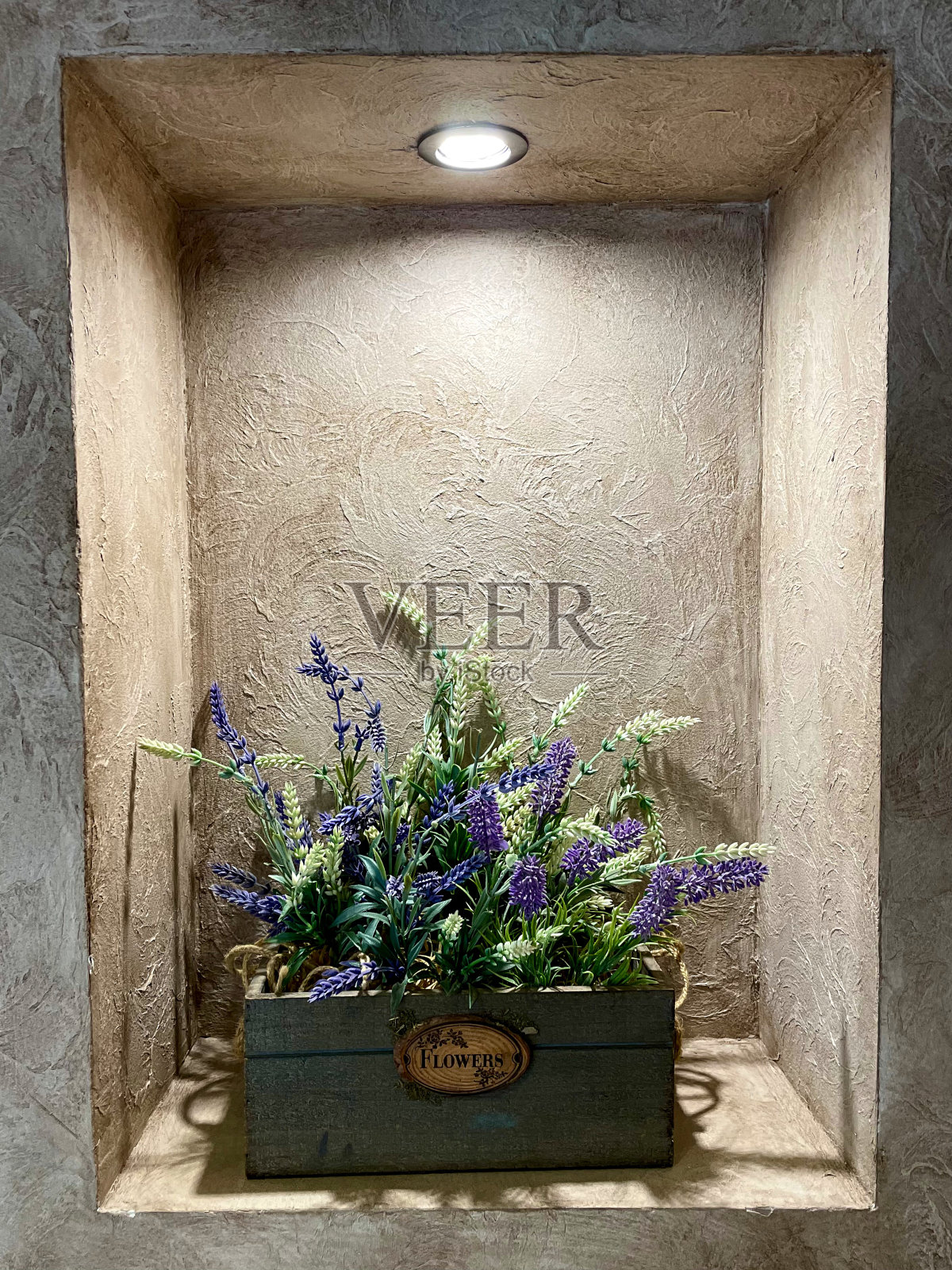 新鲜的设计照片摄影图片