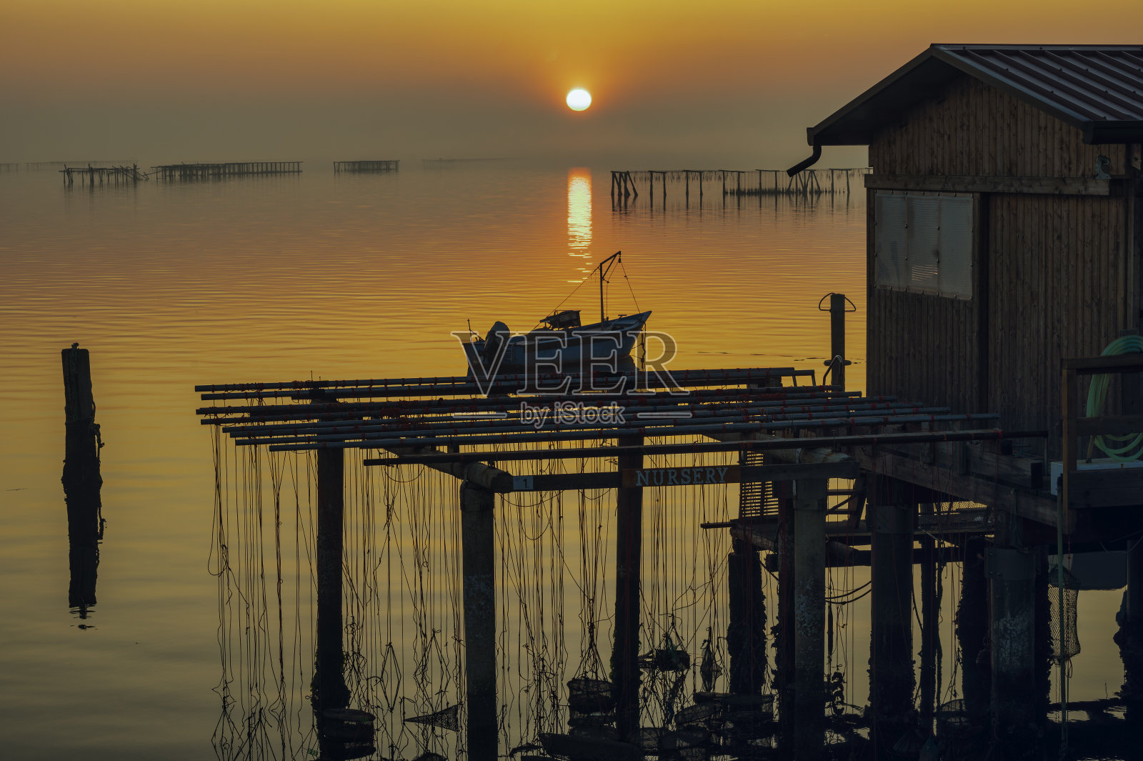 冬季景观内威尼托境内的波河三角洲，斯卡多瓦里萨卡，托尔港，威尼托照片摄影图片