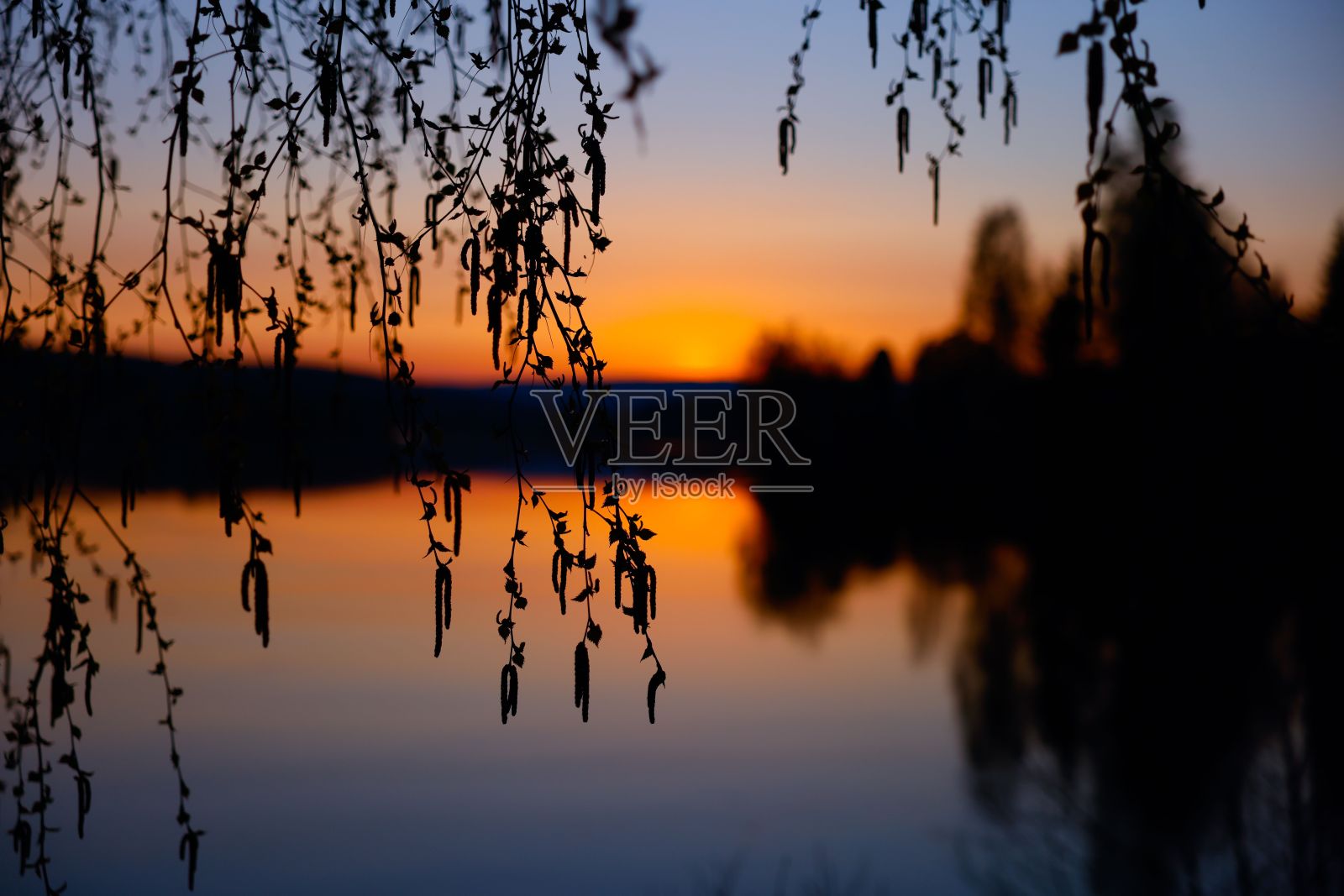 风景优美的景色，一个宁静的湖泊被郁郁葱葱的绿色植物包围，由日落照亮照片摄影图片