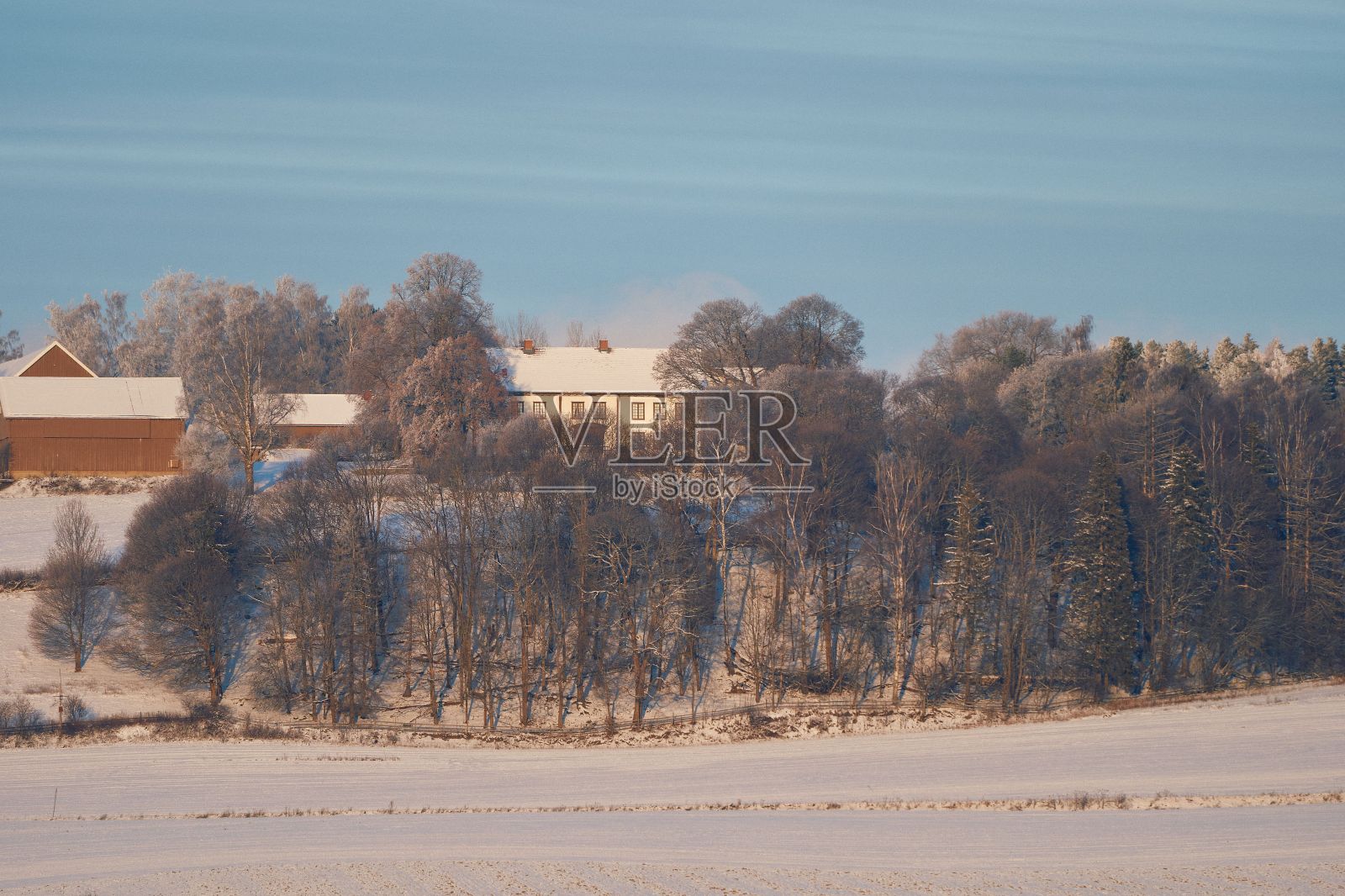 白雪覆盖的田野，背景是树木和建筑物照片摄影图片