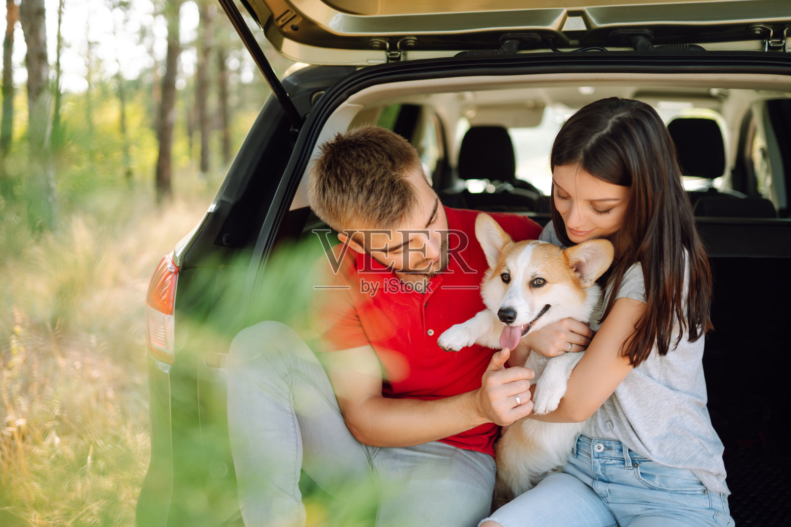 一对恩爱的夫妇和他们的狗坐在汽车后座上照片摄影图片