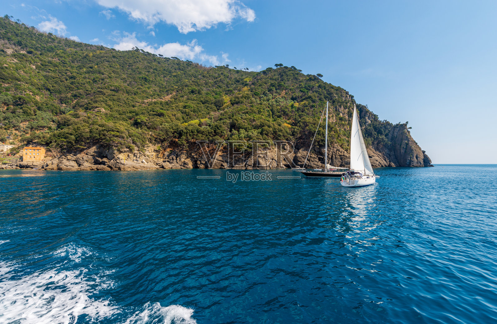 帆船在利古里亚海岸前-圣弗鲁图索意大利照片摄影图片