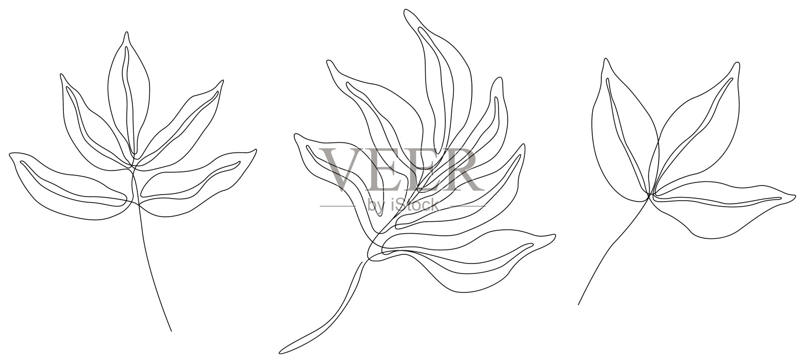 抽象花朵孤立插图。野花作背景。植物的艺术。简单的极简主义艺术设置。连续线条绘制。插画图片素材